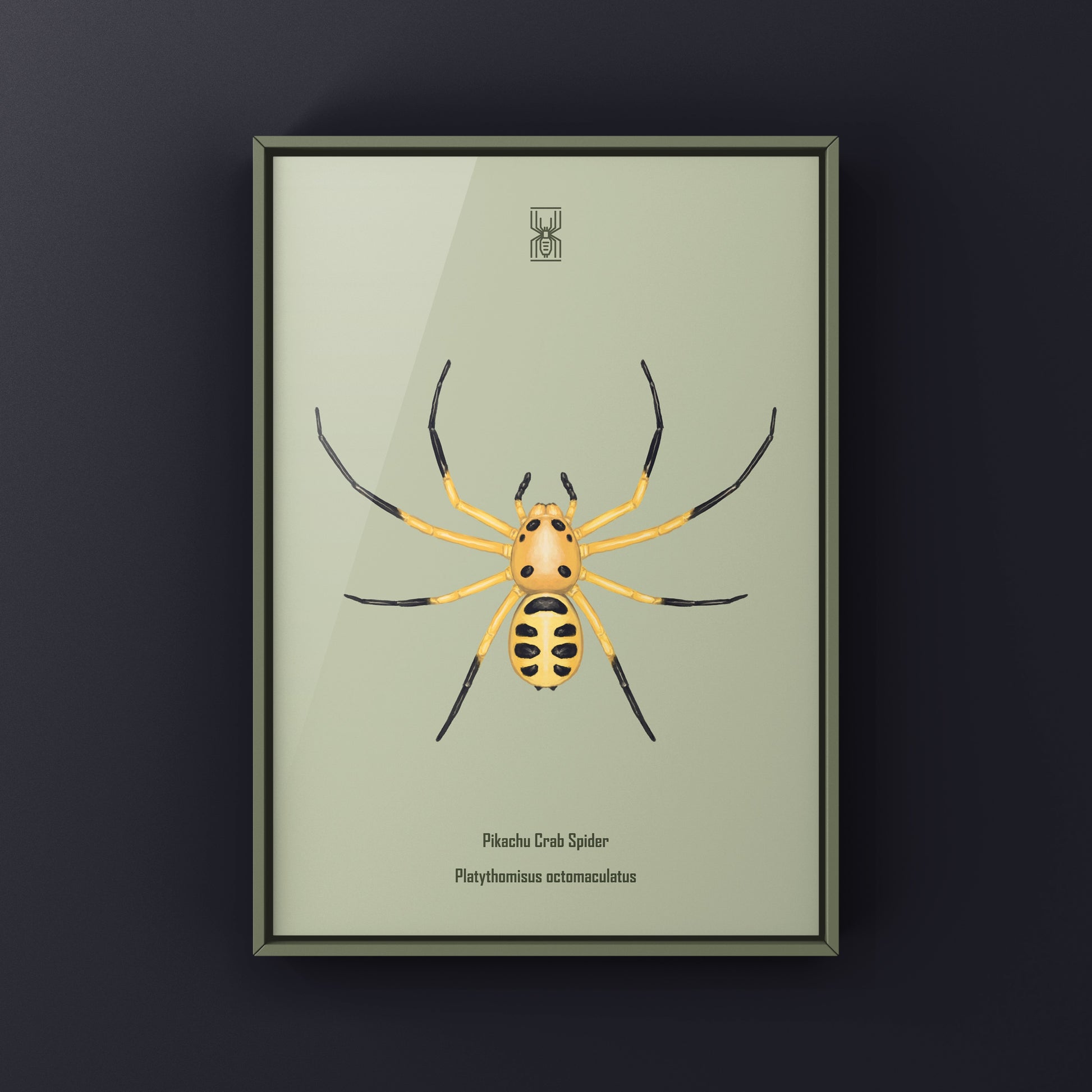 Colorful Pikachu Crab Spider art print featuring vibrant details of Platythomisus octomaculatus on a decorative background.