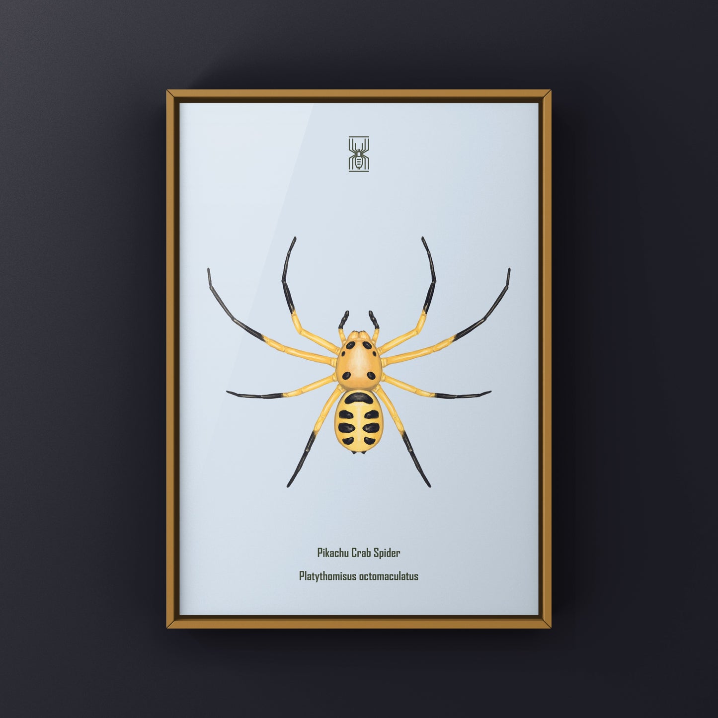 Colorful Pikachu Crab Spider art print featuring vibrant details of Platythomisus octomaculatus on high-quality paper.
