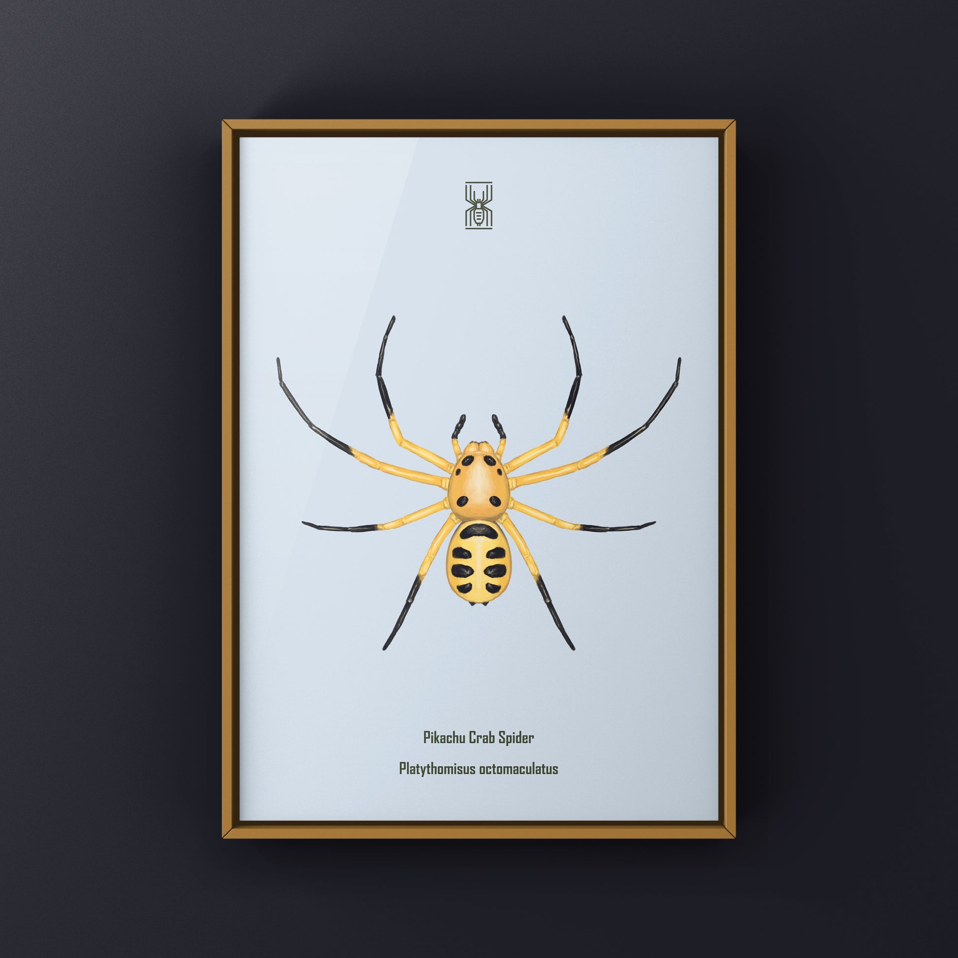 Colorful Pikachu Crab Spider art print featuring vibrant details of Platythomisus octomaculatus on high-quality paper.