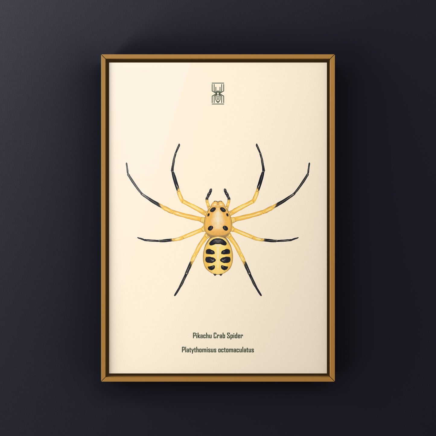 Colorful Pikachu Crab Spider art print by The Silk Ranch featuring vibrant details of Platythomisus octomaculatus.