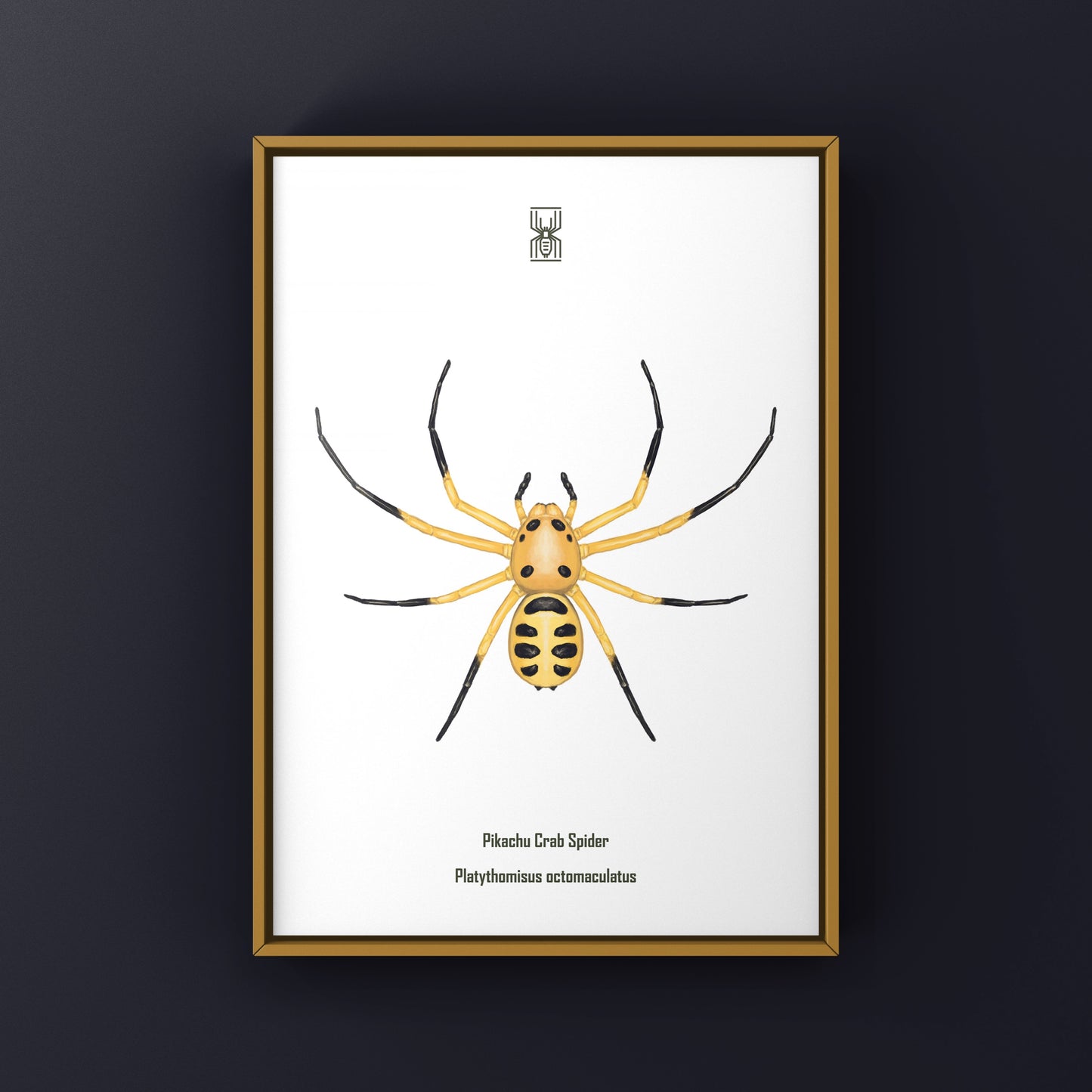 Colorful Pikachu Crab Spider art print by The Silk Ranch showcasing vibrant details of Platythomisus octomaculatus on textured paper.