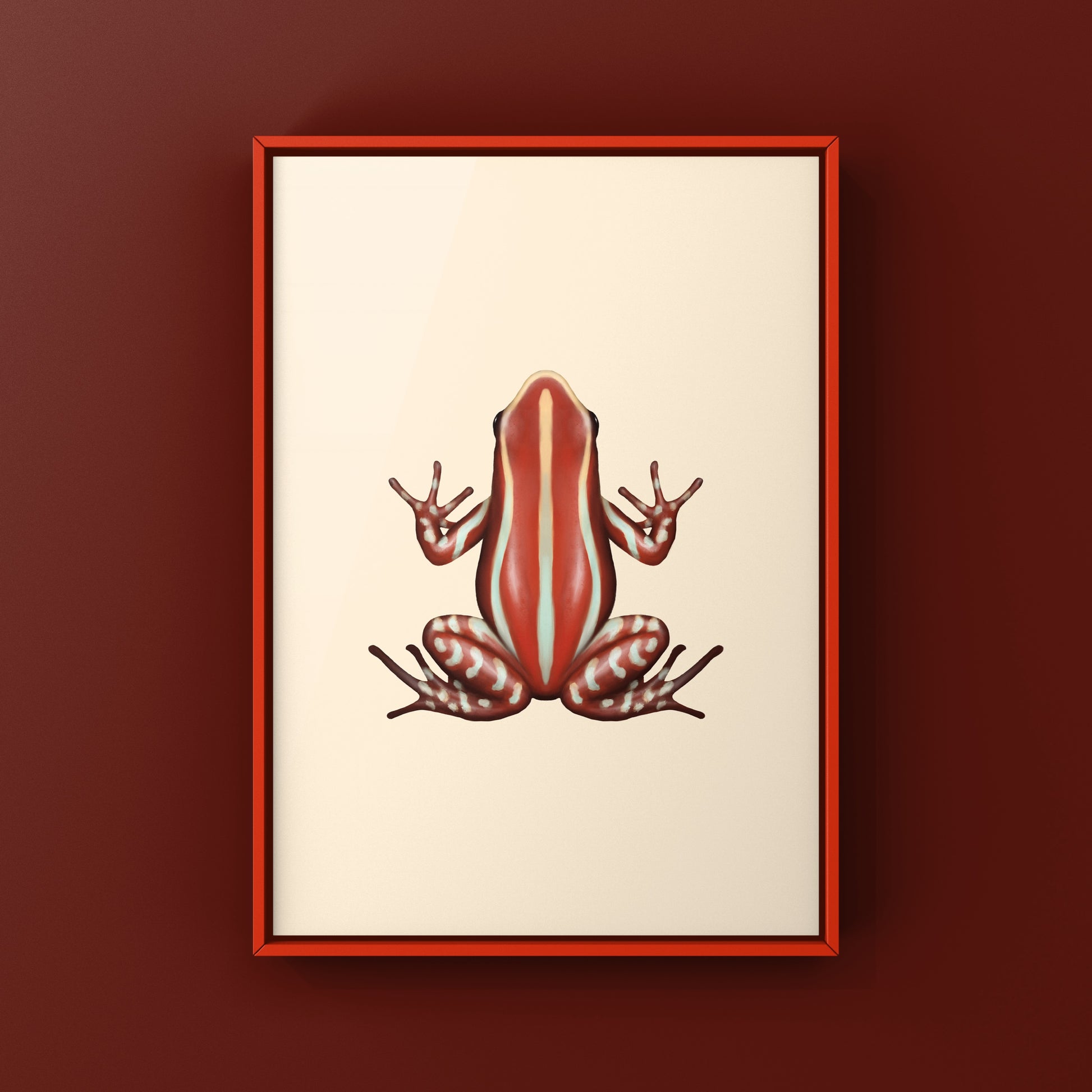 Anthony’s Poison Arrow Frog (Epipedobates anthonyi “Santa Isabel”) Art Print from The Silk Ranch