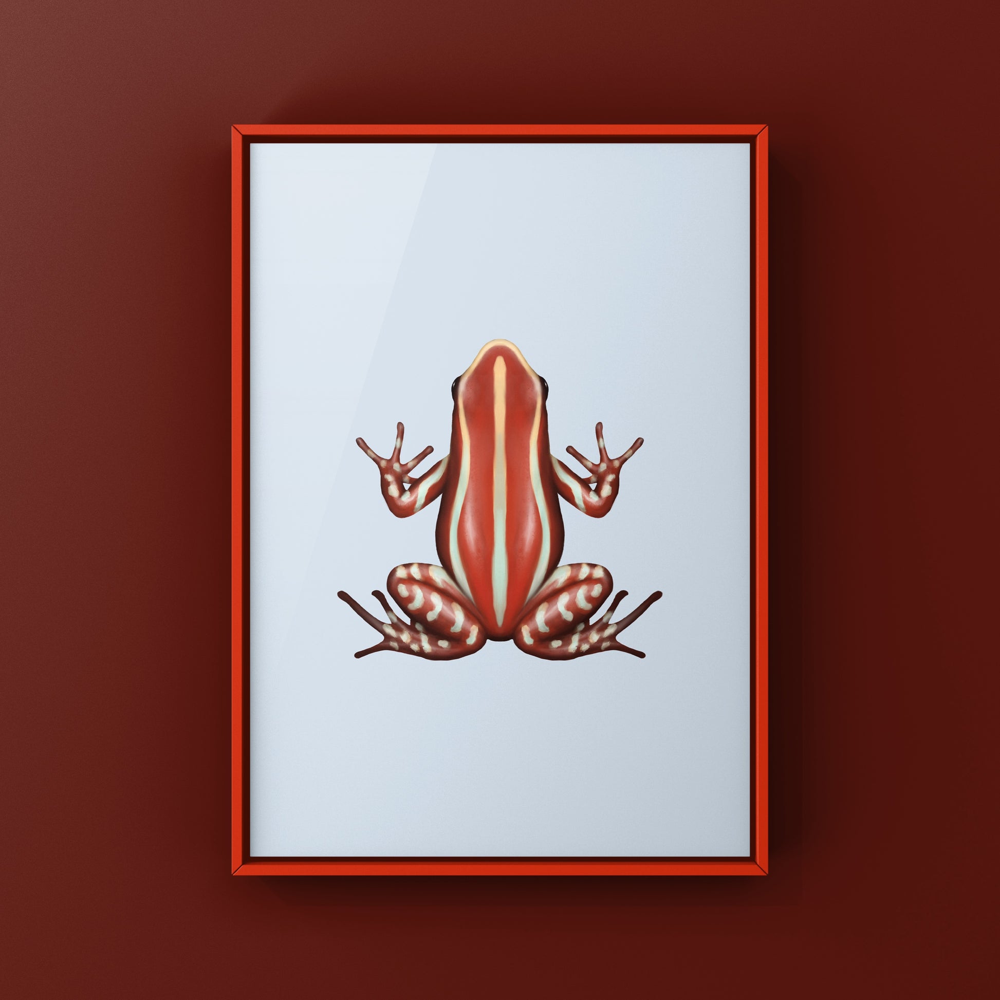 Anthony’s Poison Arrow Frog (Epipedobates anthonyi “Santa Isabel”) Art Print from The Silk Ranch