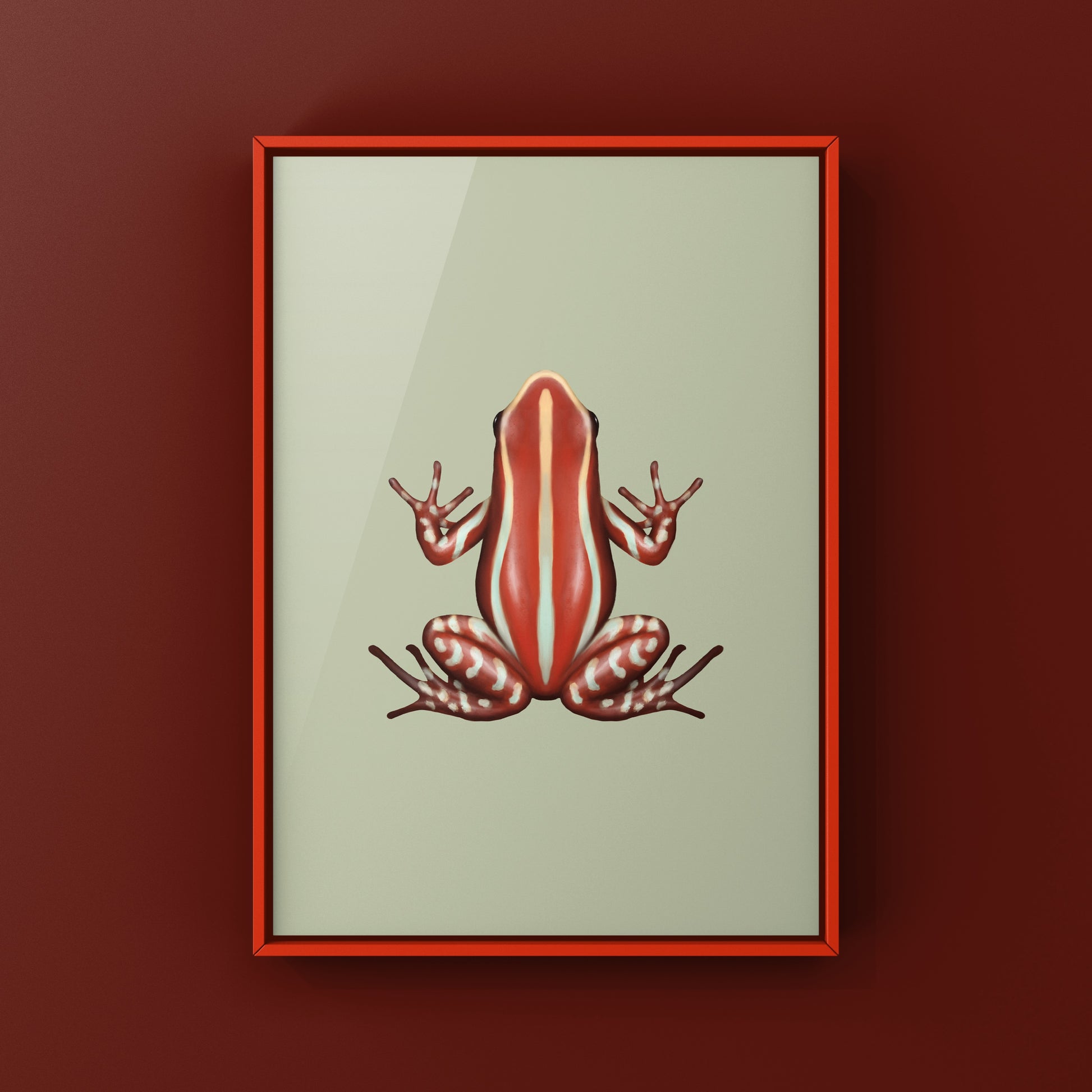 Anthony’s Poison Arrow Frog (Epipedobates anthonyi “Santa Isabel”) Art Print from The Silk Ranch