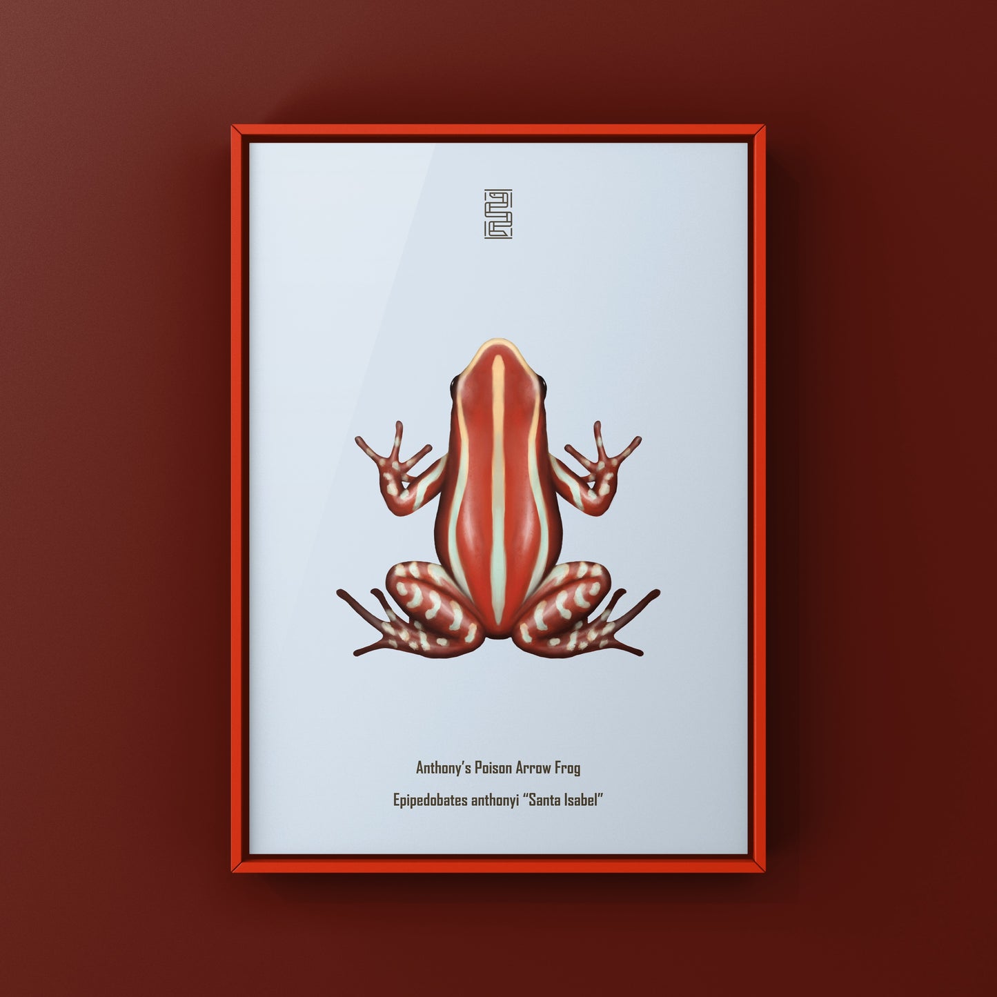 Anthony’s Poison Arrow Frog (Epipedobates anthonyi “Santa Isabel”) Art Print from The Silk Ranch