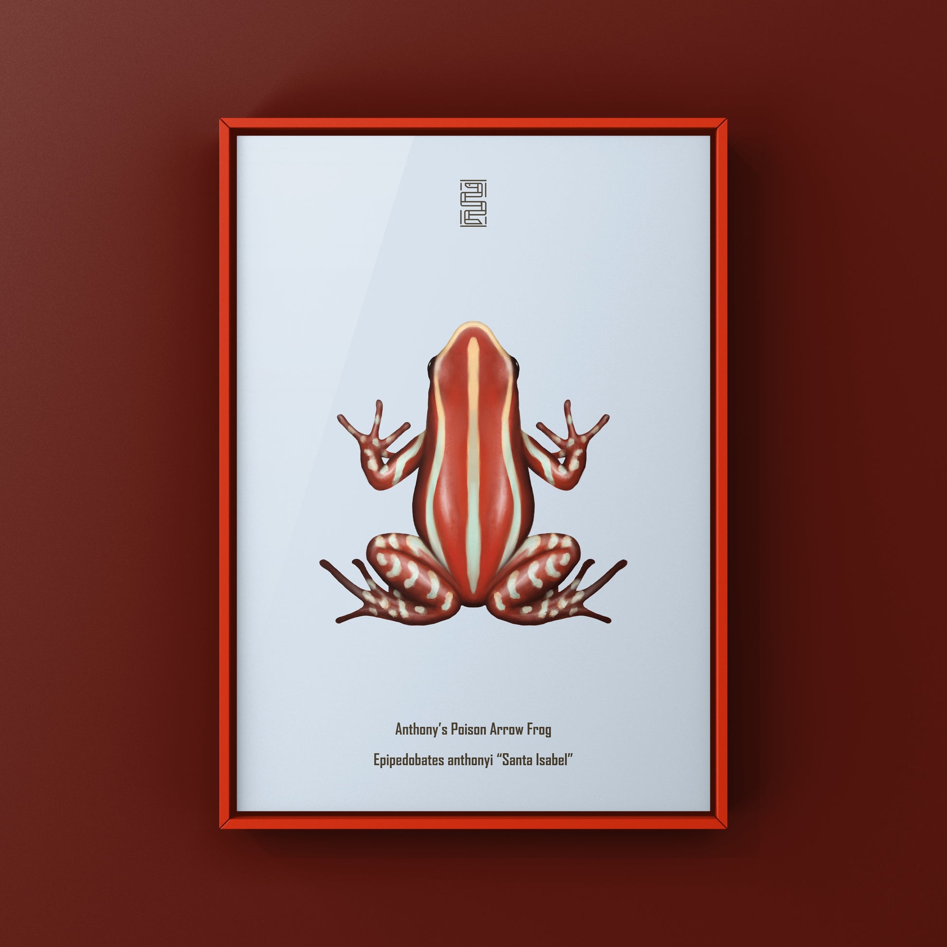 Anthony’s Poison Arrow Frog (Epipedobates anthonyi “Santa Isabel”) Art Print from The Silk Ranch