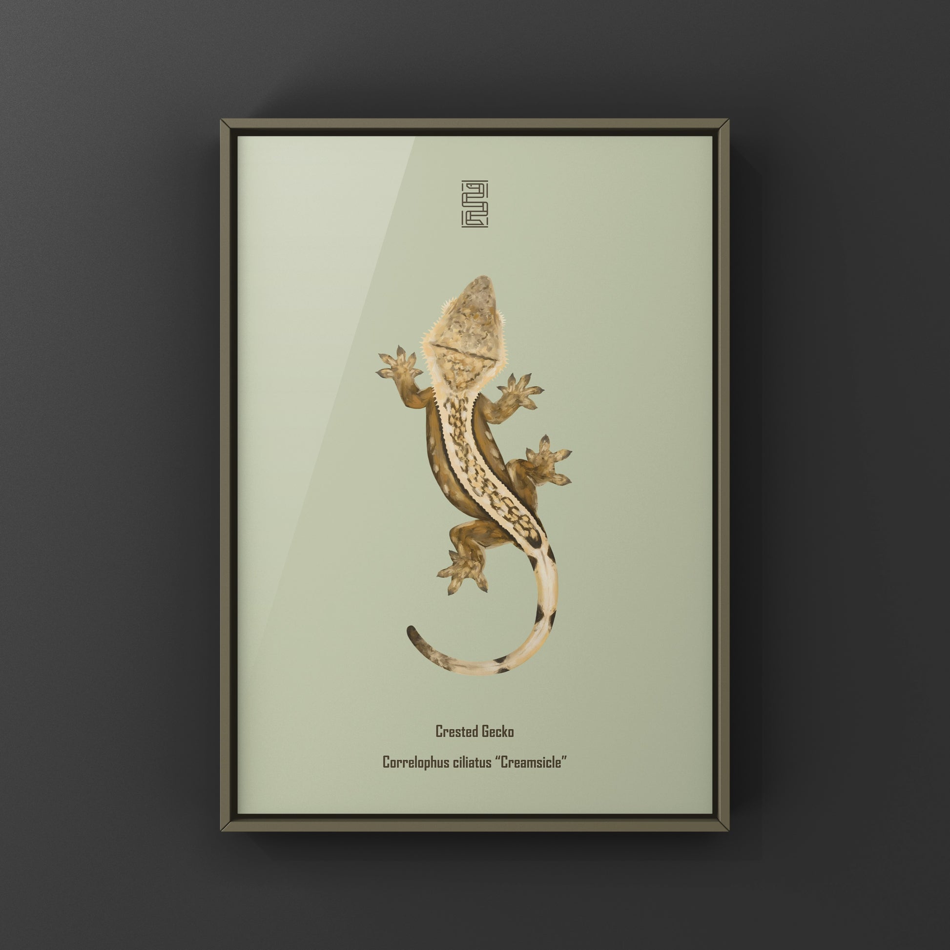 Creamsicle Crested Gecko art print by The Silk Ranch featuring vibrant colors and detailed illustration of the gecko.