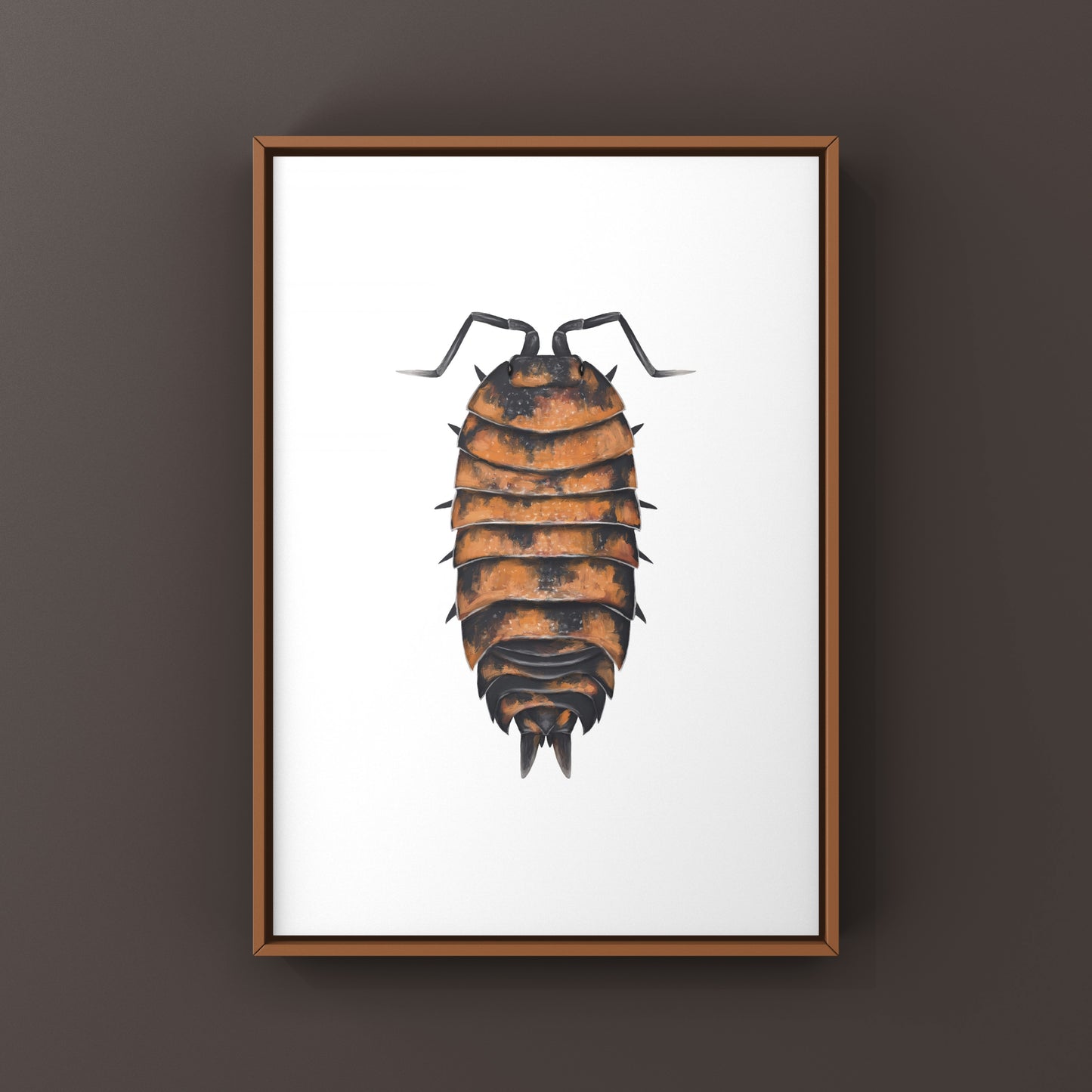 Lava Isopod Porcellio scaber “Lava” art print, detailed illustration of the unique crustacean, on white background.