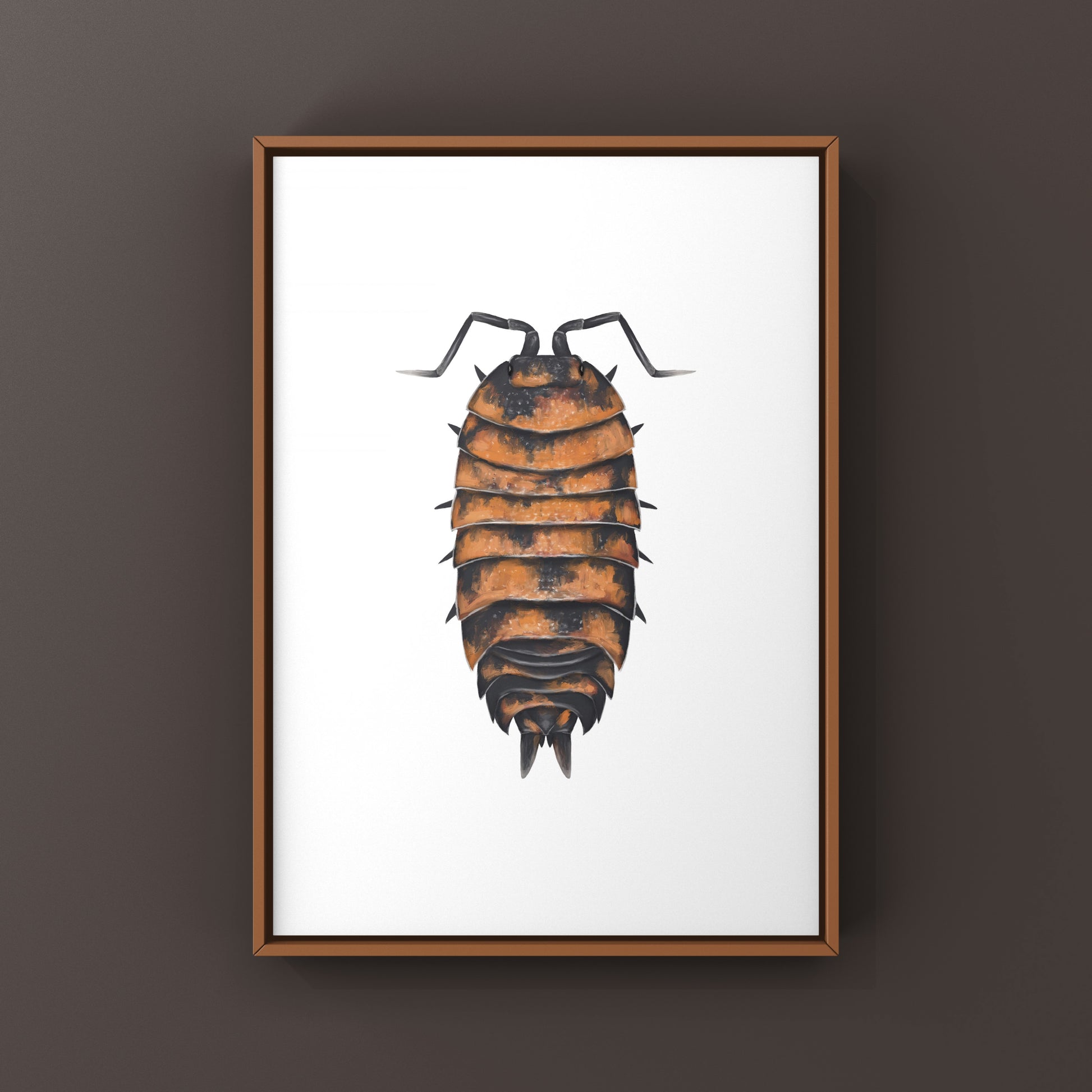Lava Isopod Porcellio scaber “Lava” art print, detailed illustration of the unique crustacean, on white background.