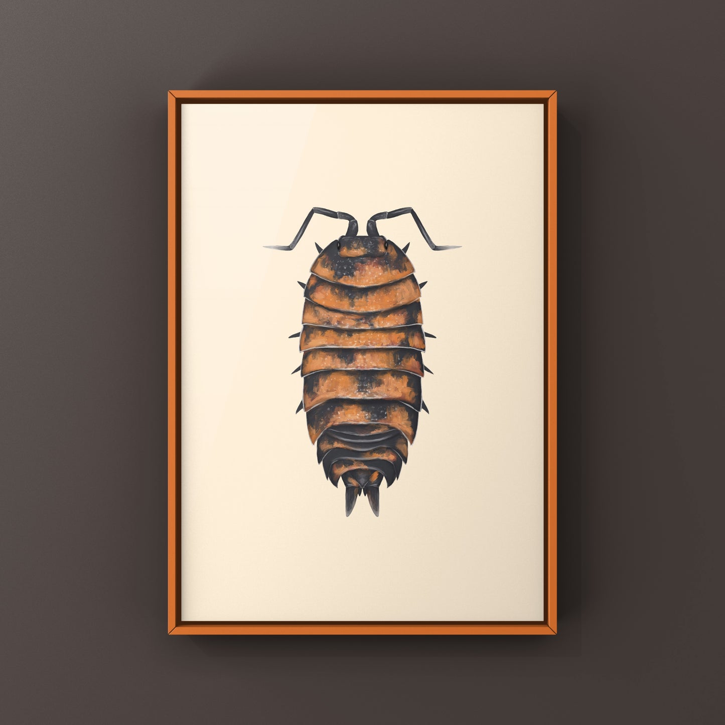 Lava Isopod Porcellio scaber "Lava" art print showcasing detailed illustration of the crustacean on white background.