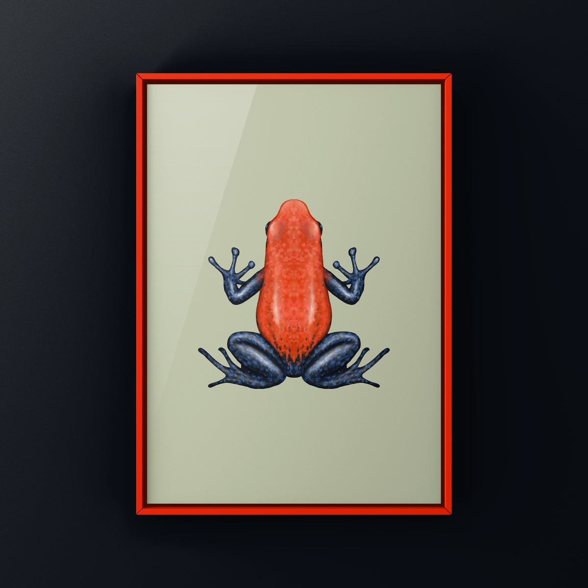 Blue Jeans Strawberry Poison Frog art print by The Silk Ranch, featuring a blue-legged red frog (Oophaga pumilio)