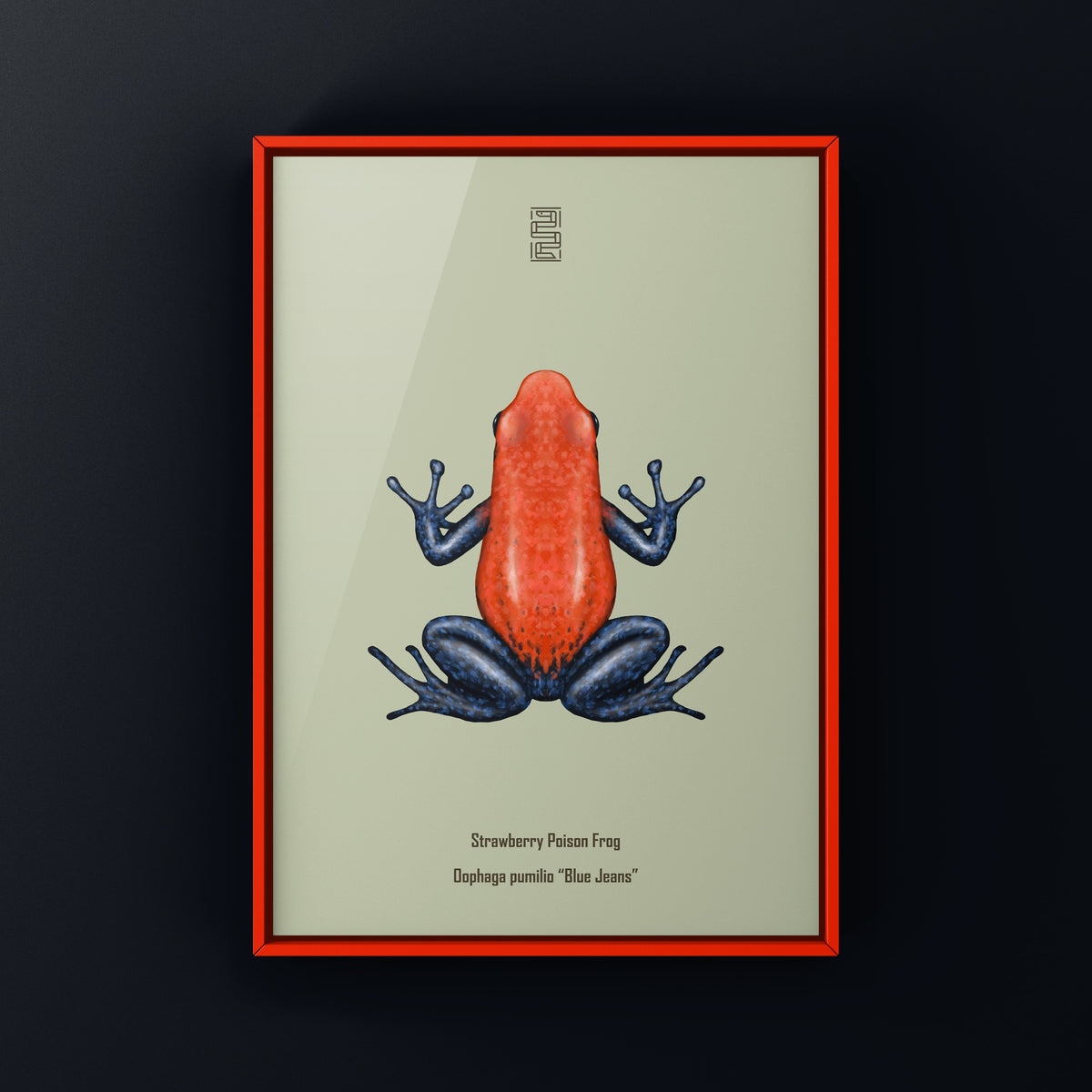Blue jeans strawberry poison frog art print by The Silk Ranch, featuring Oophaga pumilio on a blue background