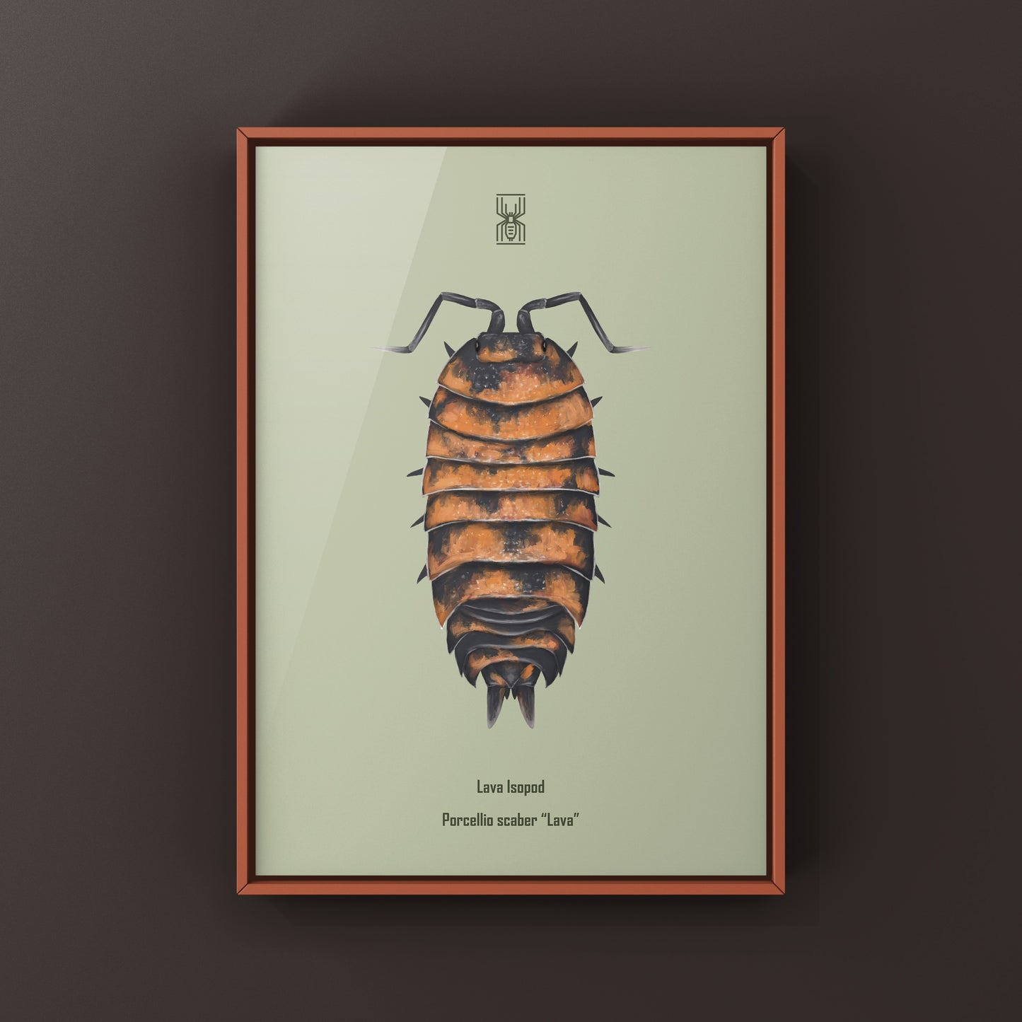 Lava Isopod Porcellio scaber “Lava” art print featuring detailed illustration of a lava-colored isopod on white background