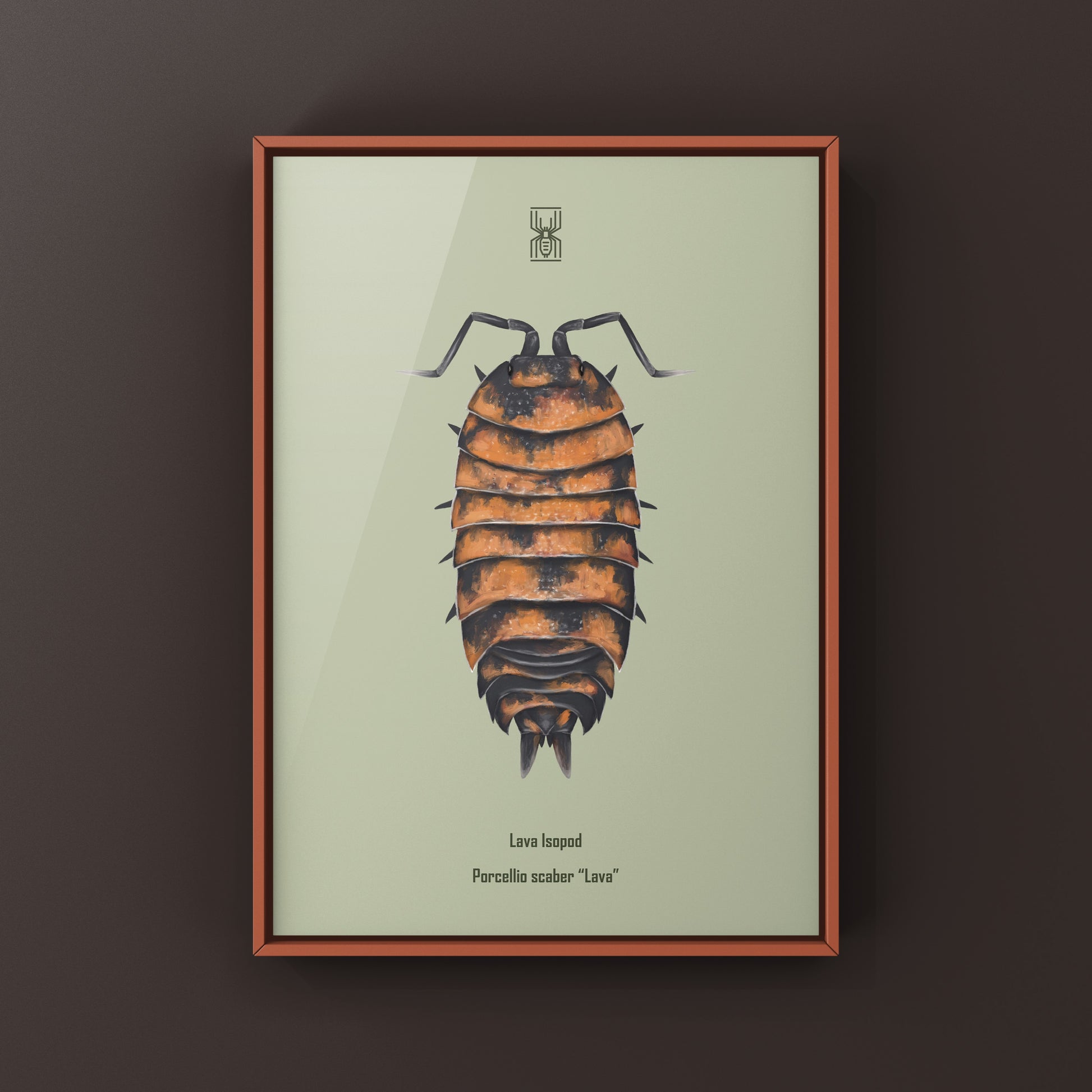 Lava Isopod Porcellio scaber “Lava” art print featuring detailed illustration of a lava-colored isopod on white background