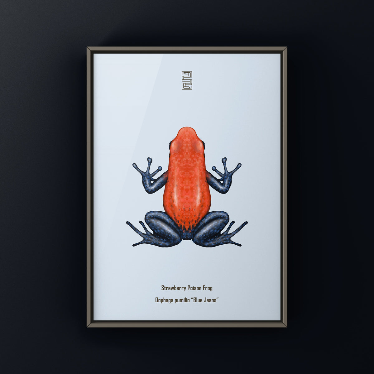 Blue Jeans strawberry poison frog art print by The Silk Ranch, featuring Oophaga pumilio in blue and red hues
