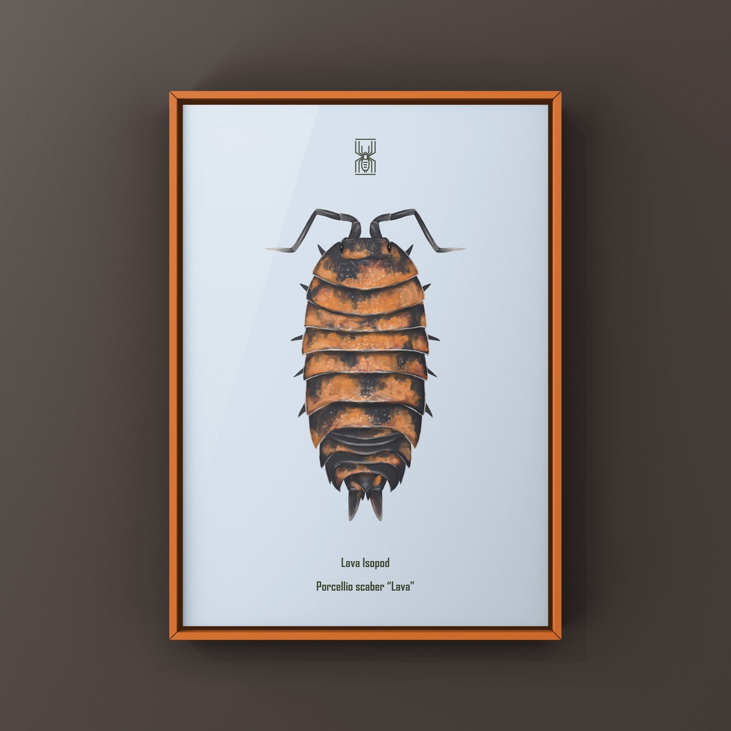 Lava Isopod art print featuring a detailed illustration of Porcellio scaber “Lava,” showcasing vibrant colors and intricate textures.