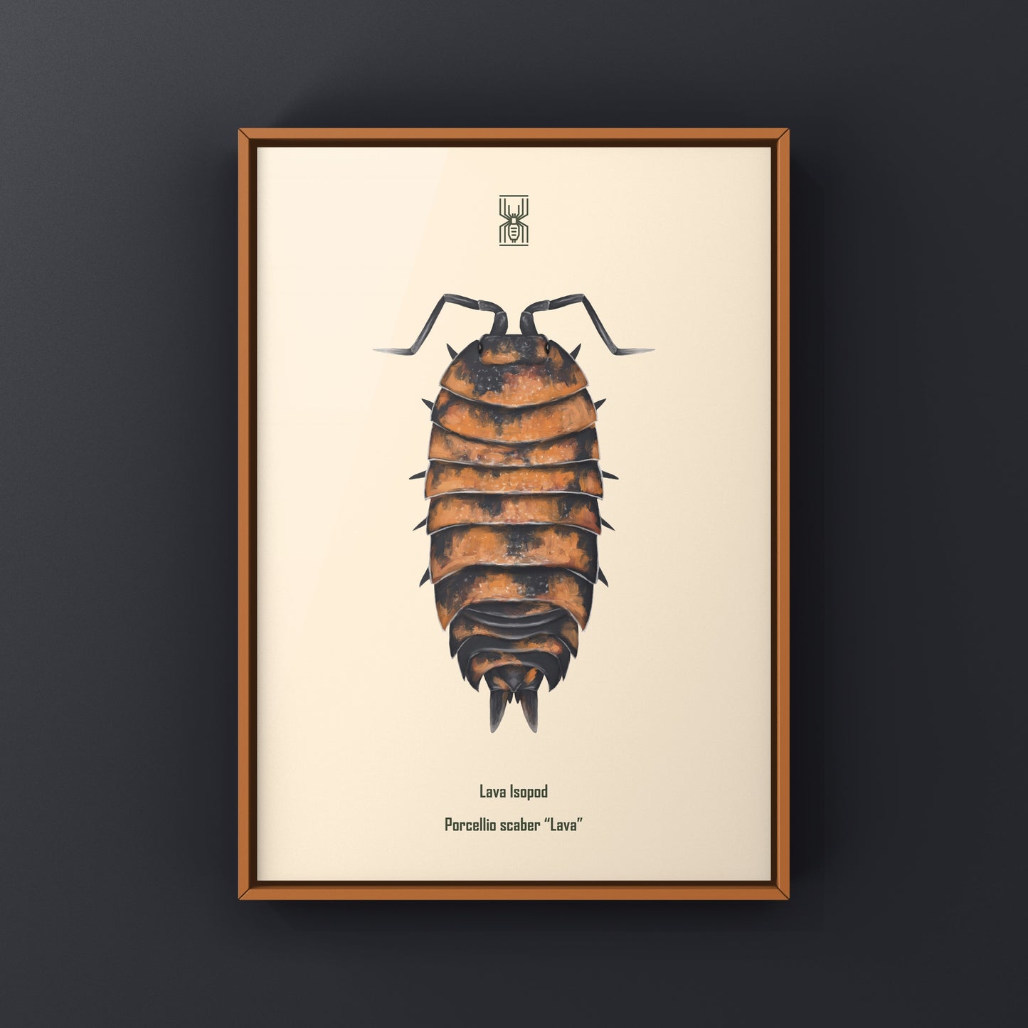 Lava Isopod art print by The Silk Ranch featuring a detailed illustration of Porcellio scaber “Lava” on a white background