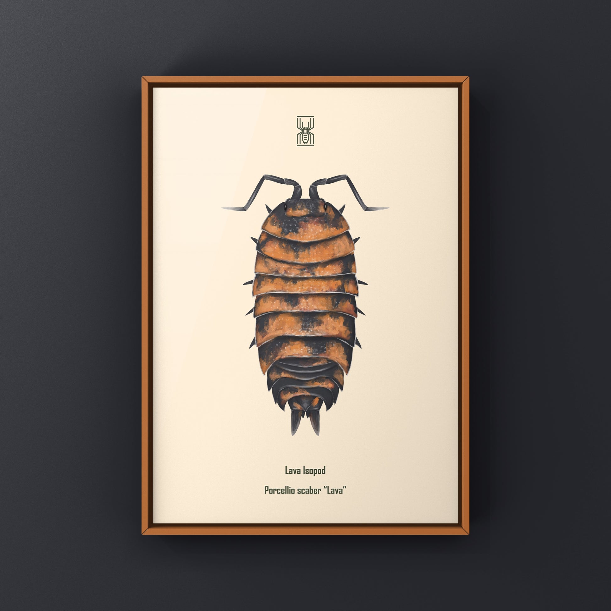 Lava Isopod art print by The Silk Ranch featuring a detailed illustration of Porcellio scaber “Lava” on a white background