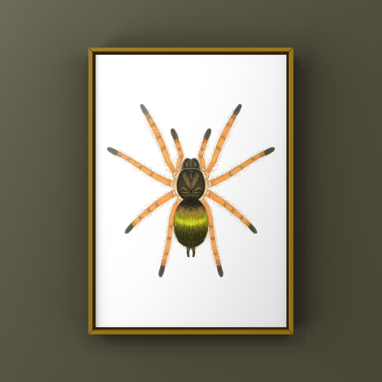 Emerald Skeleton Tarantula Spiderling art print featuring Ephebopus uatuman by The Silk Ranch, showcasing vibrant green details.