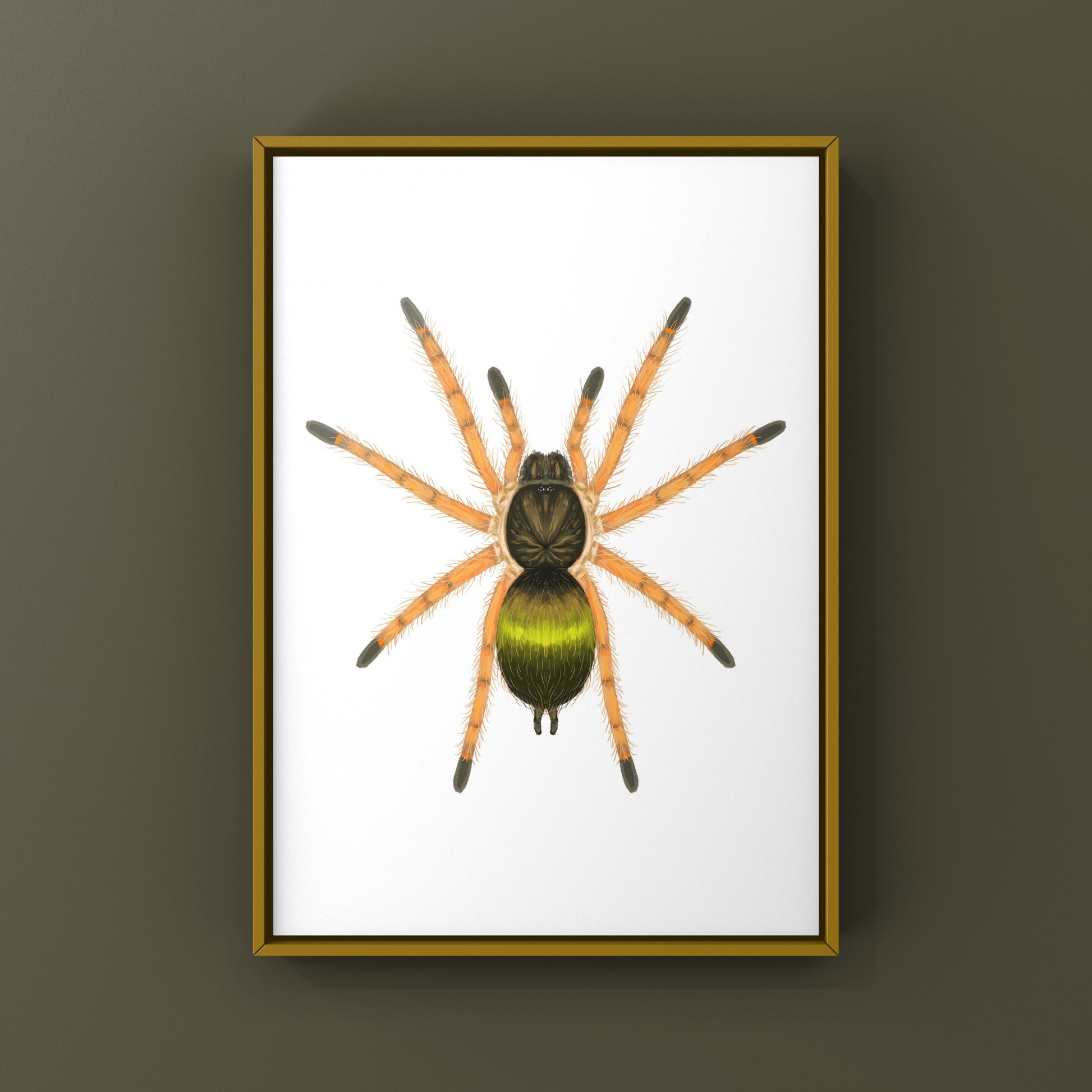 Emerald Skeleton Tarantula Spiderling art print featuring Ephebopus uatuman by The Silk Ranch, showcasing vibrant green details.