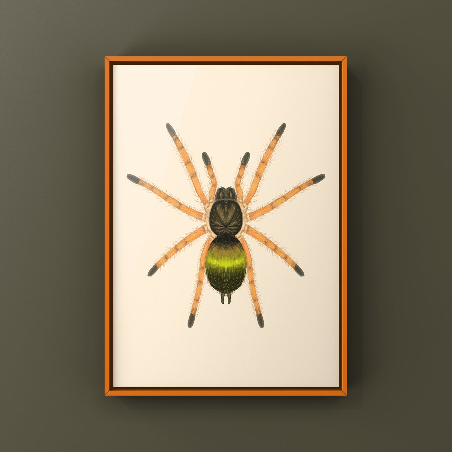 Emerald Skeleton Tarantula Spiderling art print by The Silk Ranch showing detailed green and black spider illustration.