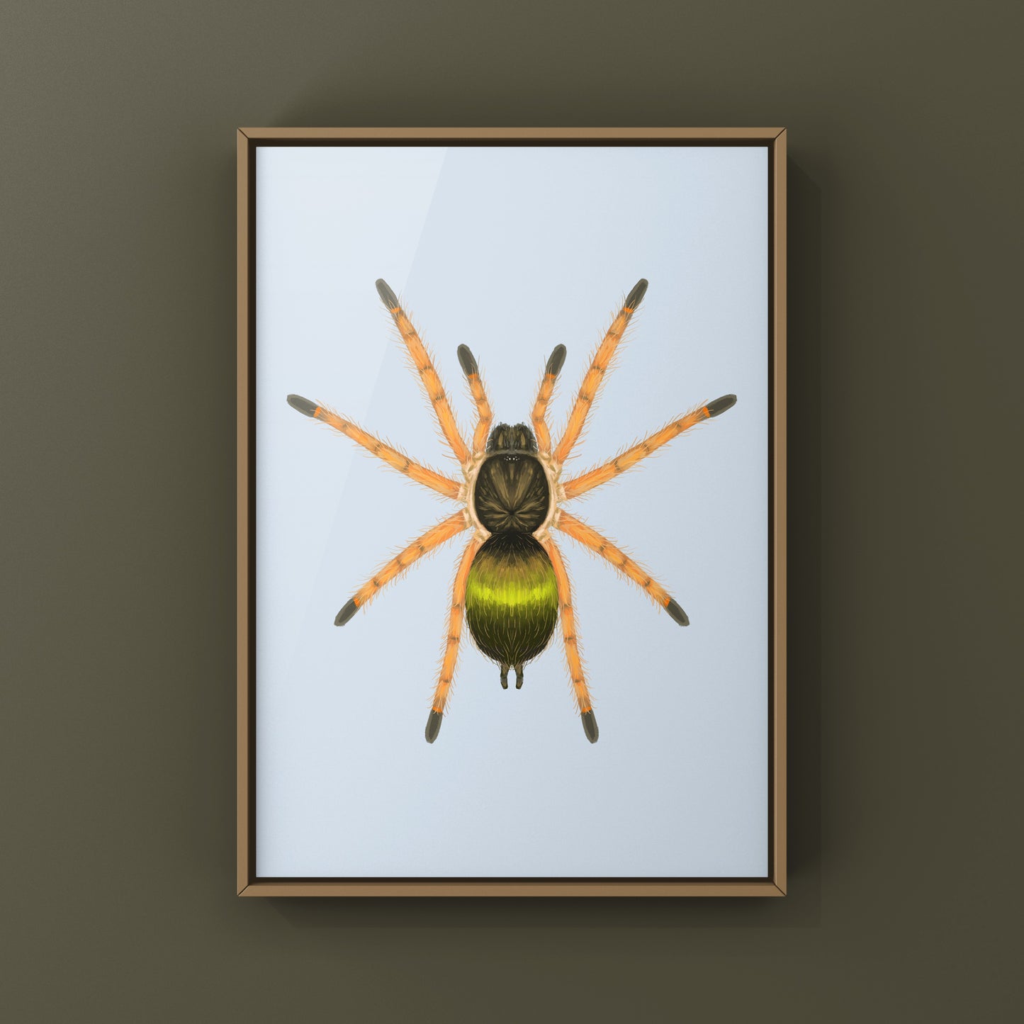 Emerald Skeleton Tarantula Spiderling art print by The Silk Ranch, featuring detailed illustration of Ephebopus uatuman spiderling