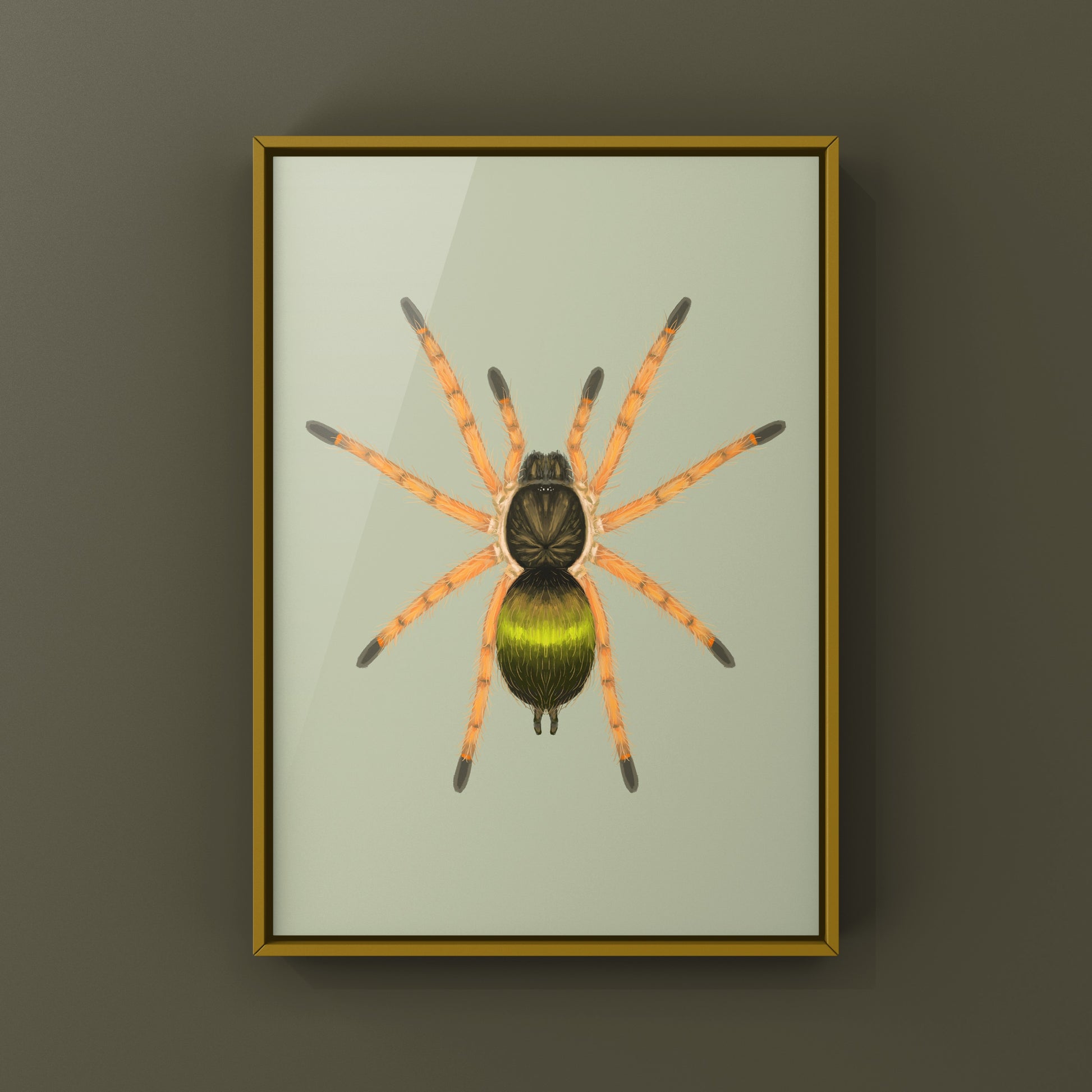 Emerald Skeleton Tarantula Spiderling art print by The Silk Ranch, featuring a detailed illustration of Ephebopus uatuman spiderling.