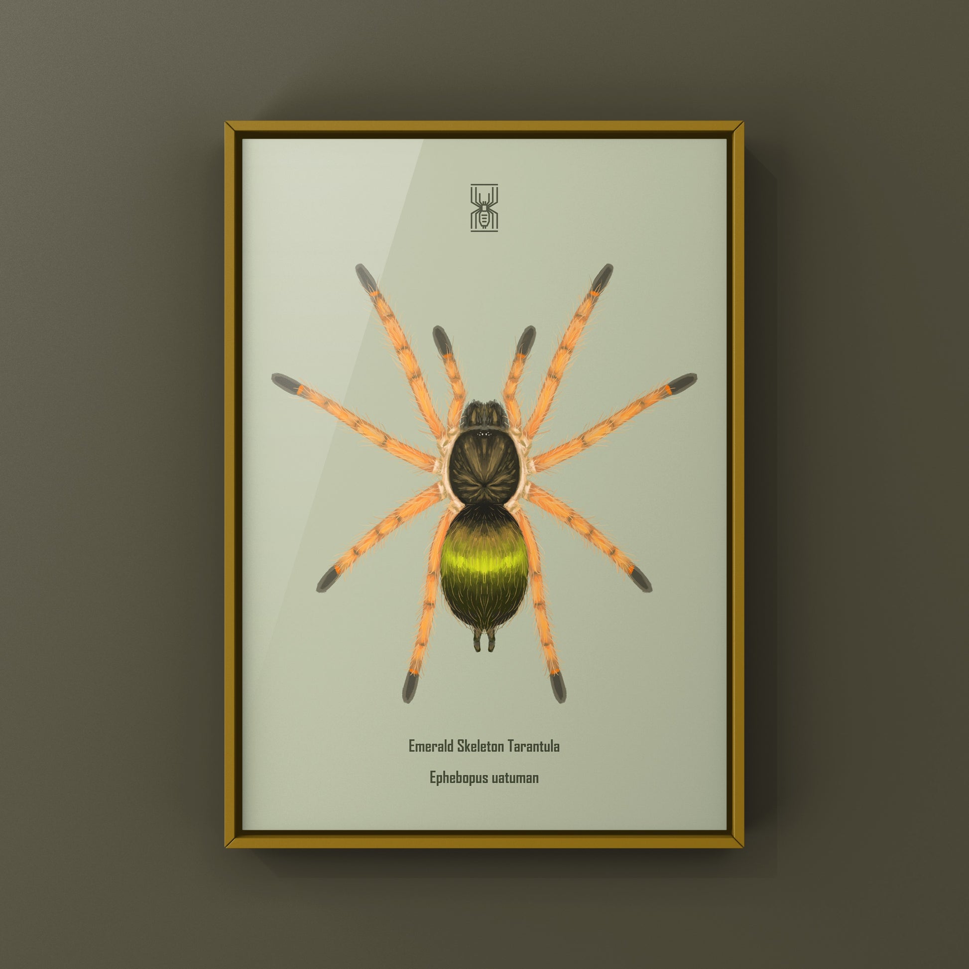 Art print of an emerald skeleton tarantula spiderling (Ephebopus uatuman) showcasing vibrant green hues and detailed spider illustration.