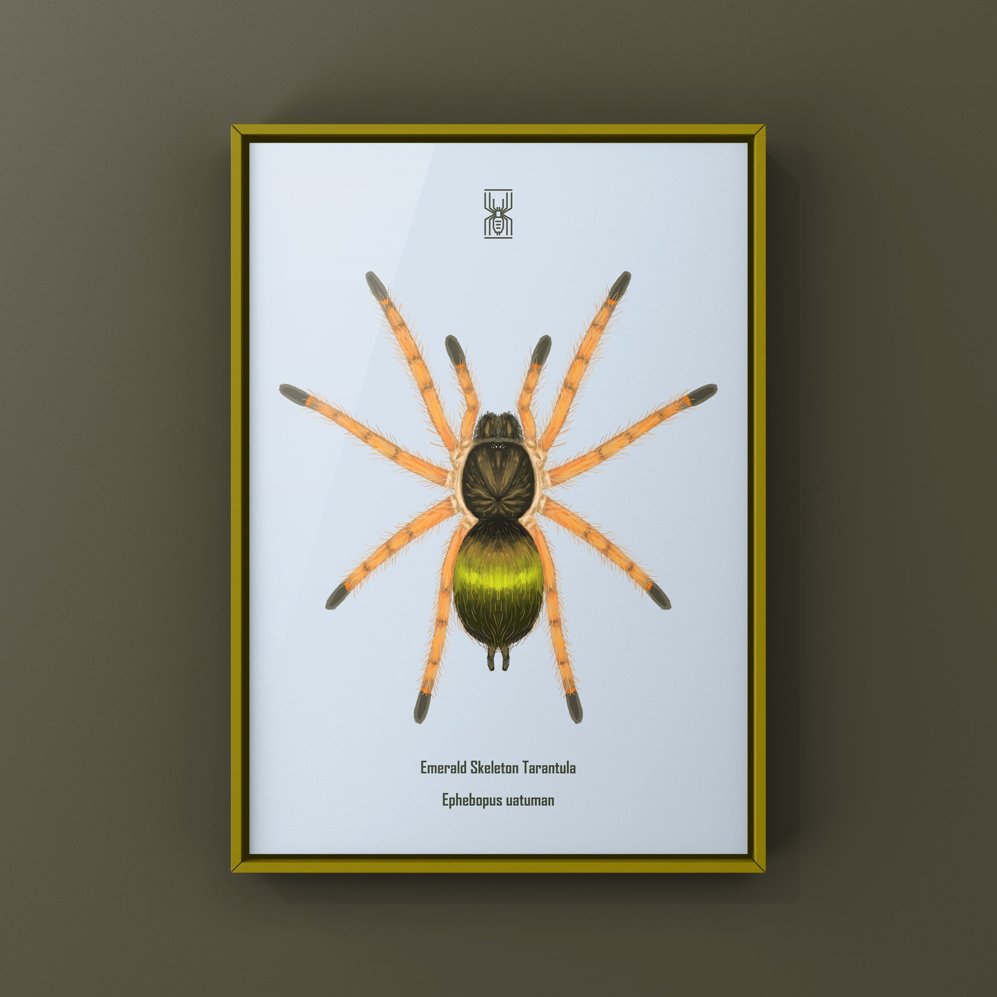 Emerald Skeleton Tarantula Spiderling art print by The Silk Ranch depicting a detailed illustration of Ephebopus uatuman spiderling.