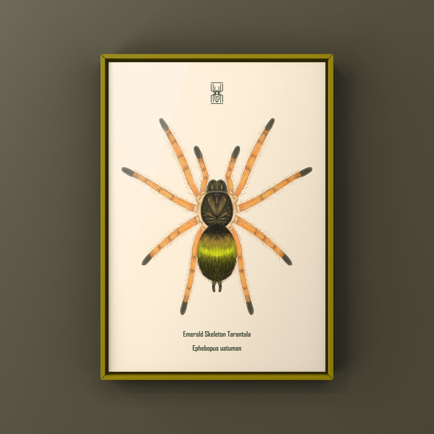 Emerald Skeleton Tarantula Spiderling art print by The Silk Ranch, showcasing detailed illustration of Ephebopus uatuman spiderling.