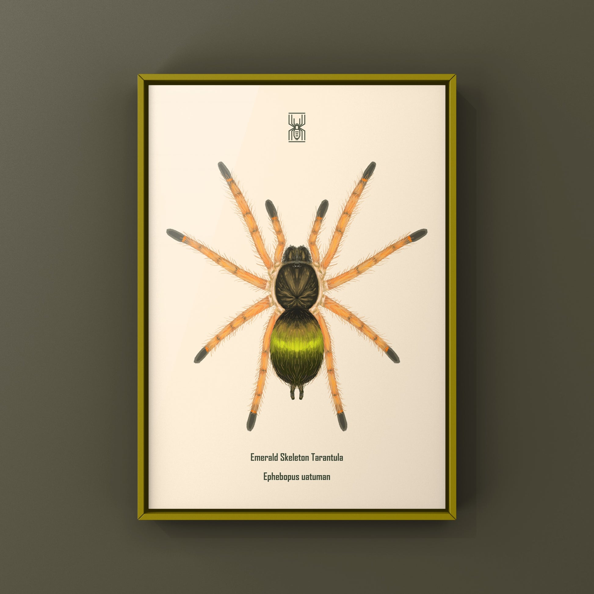 Emerald Skeleton Tarantula Spiderling art print by The Silk Ranch, showcasing detailed illustration of Ephebopus uatuman spiderling.