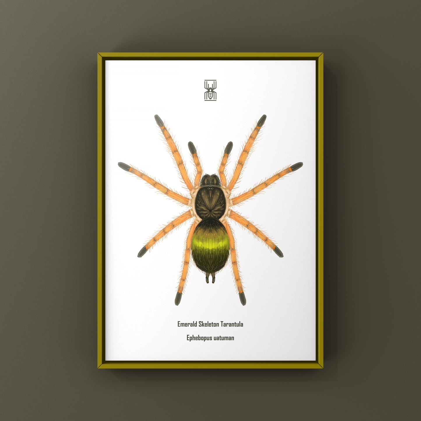 Emerald Skeleton Tarantula spiderling art print showing detailed illustration of Ephebopus uatuman by The Silk Ranch