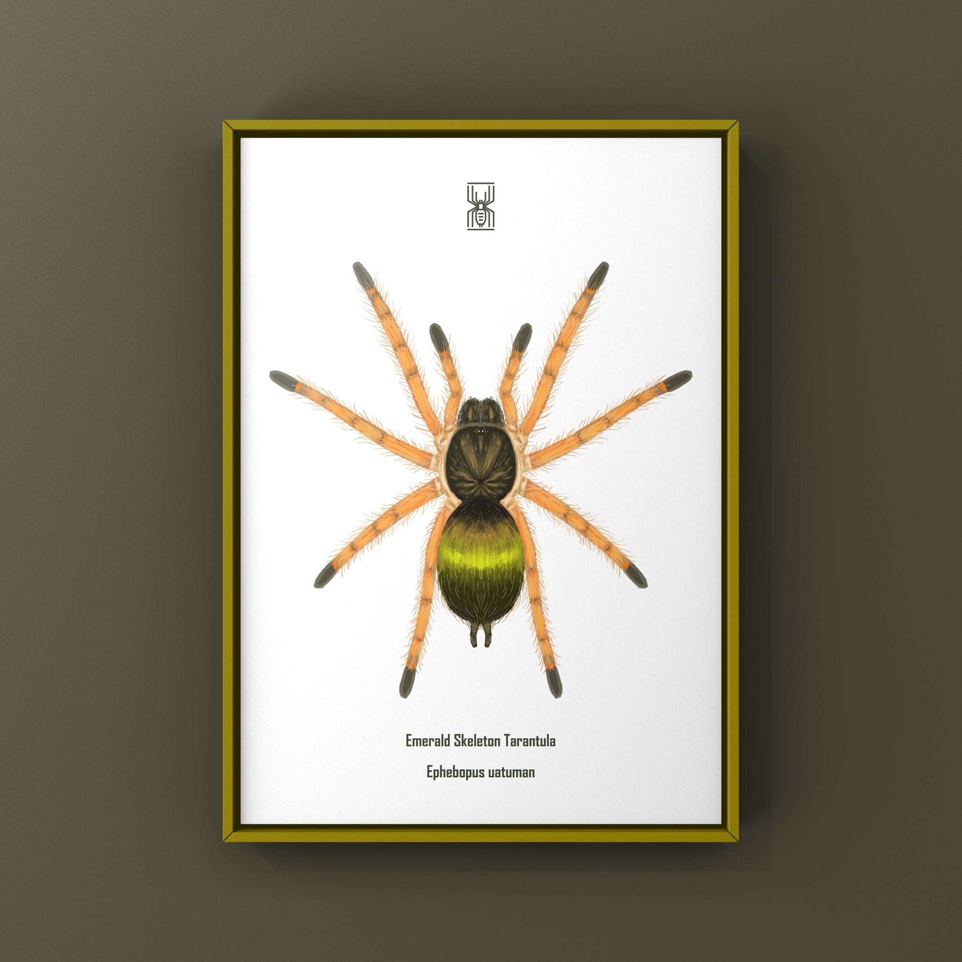 Emerald Skeleton Tarantula spiderling art print showing detailed illustration of Ephebopus uatuman by The Silk Ranch