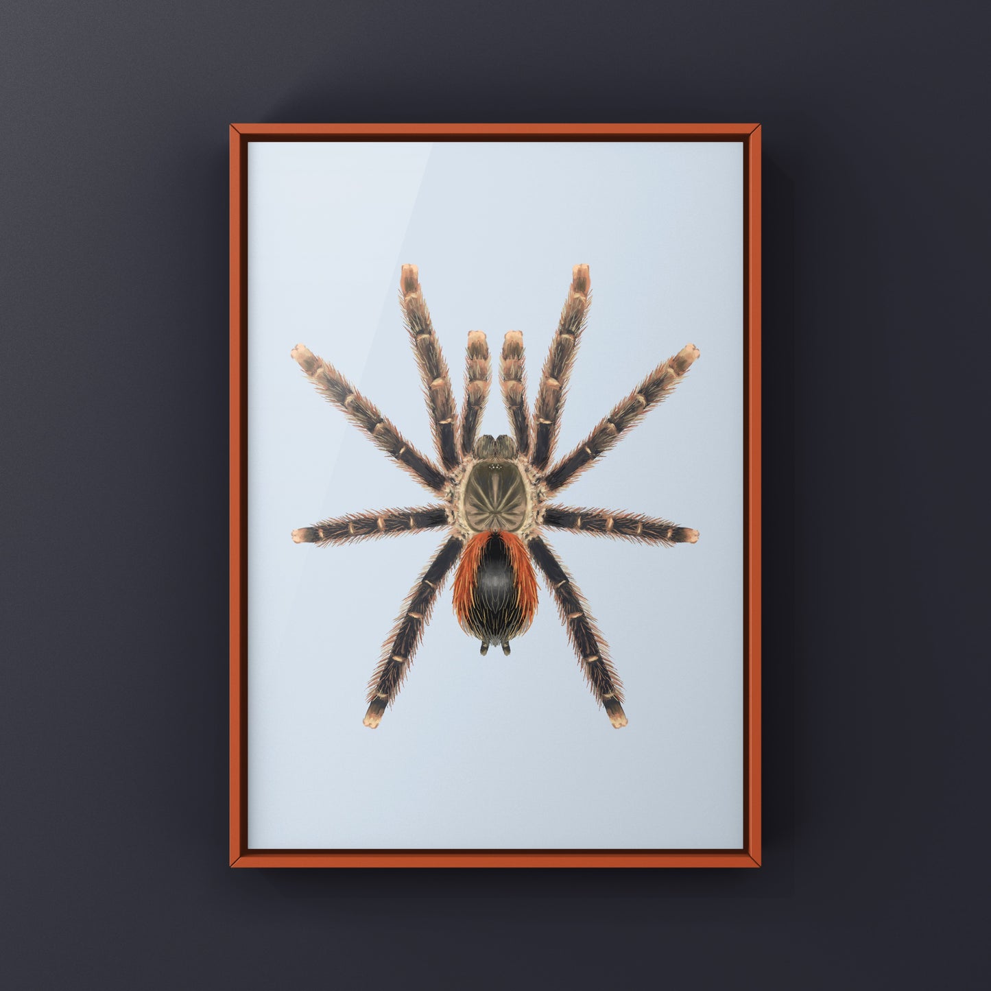 Red Sided Pinktoe Tarantula art print featuring vibrant pink and red hues, showcasing detailed spider illustrations by The Silk Ranch.