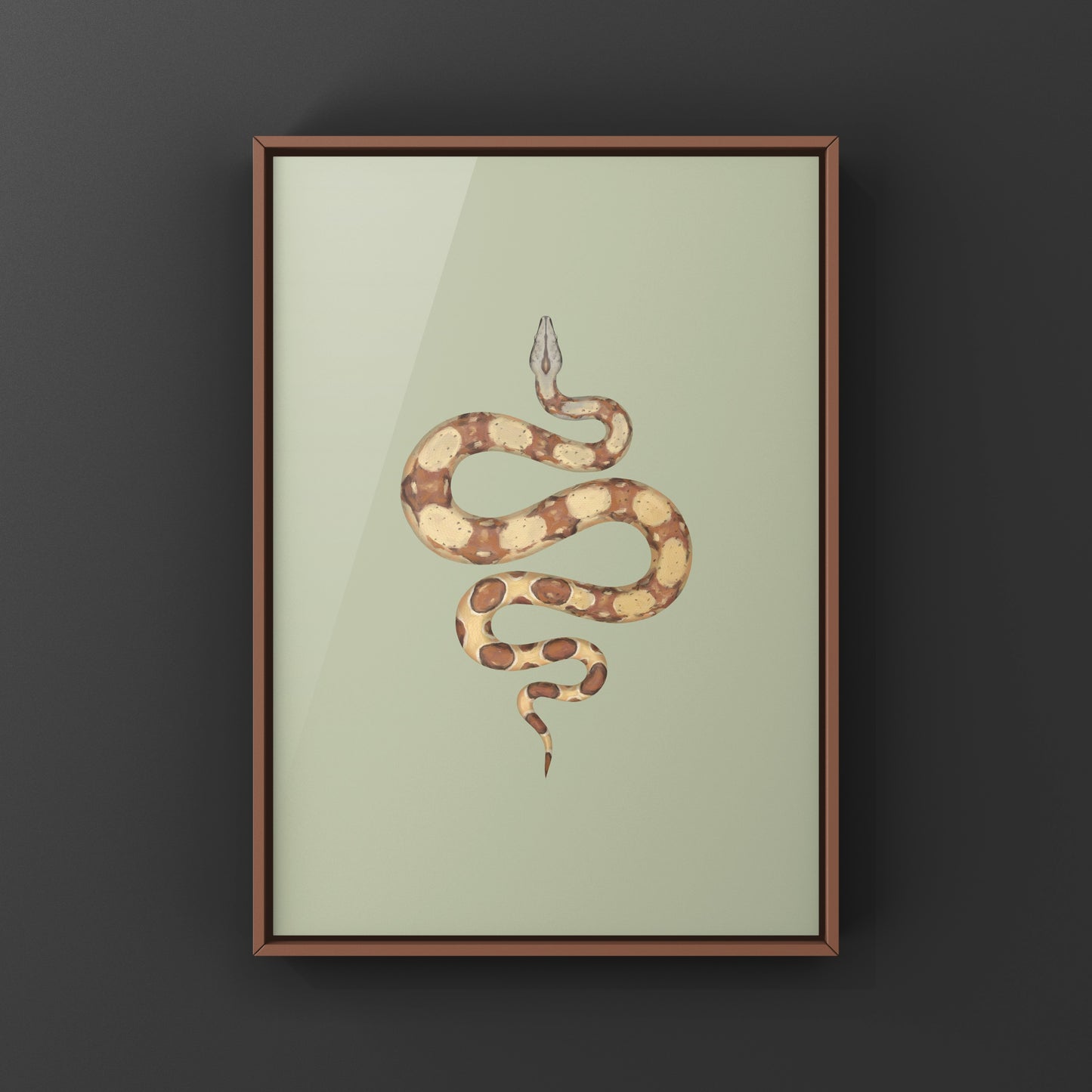 Hypo Colombian Red Tail Boa art print featuring a detailed illustration of the Boa imperator by The Silk Ranch.