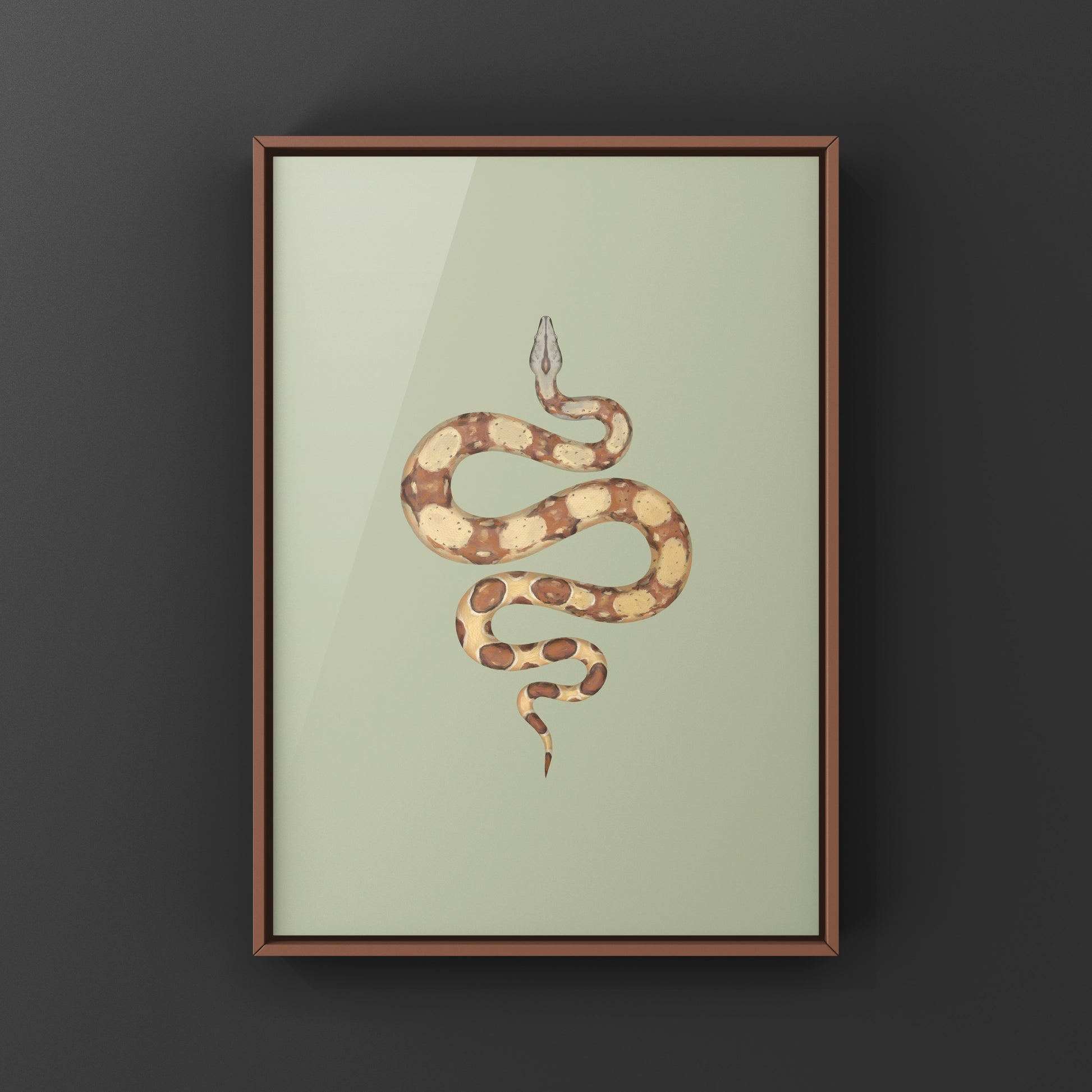 Hypo Colombian Red Tail Boa art print featuring a detailed illustration of the Boa imperator by The Silk Ranch.