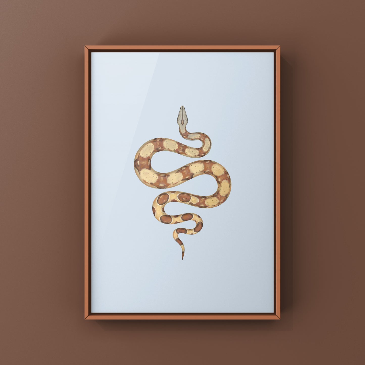 Colorful art print of a Hypo Colombian Red Tail Boa (Boa imperator) by The Silk Ranch, featuring detailed snake illustration.