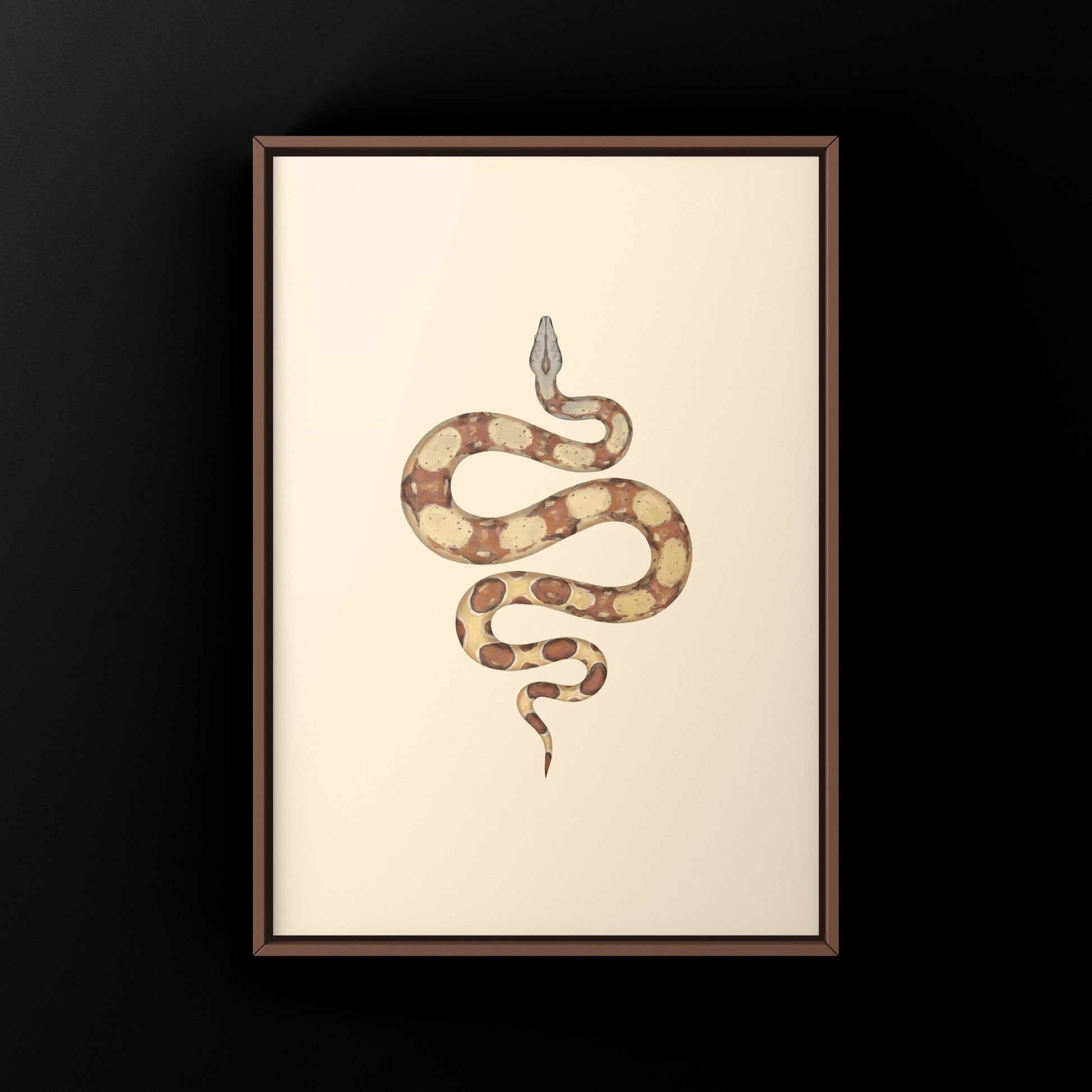 Colorful art print of a Hypo Colombian Red Tail Boa (Boa imperator) showcasing vibrant scales, created by The Silk Ranch.