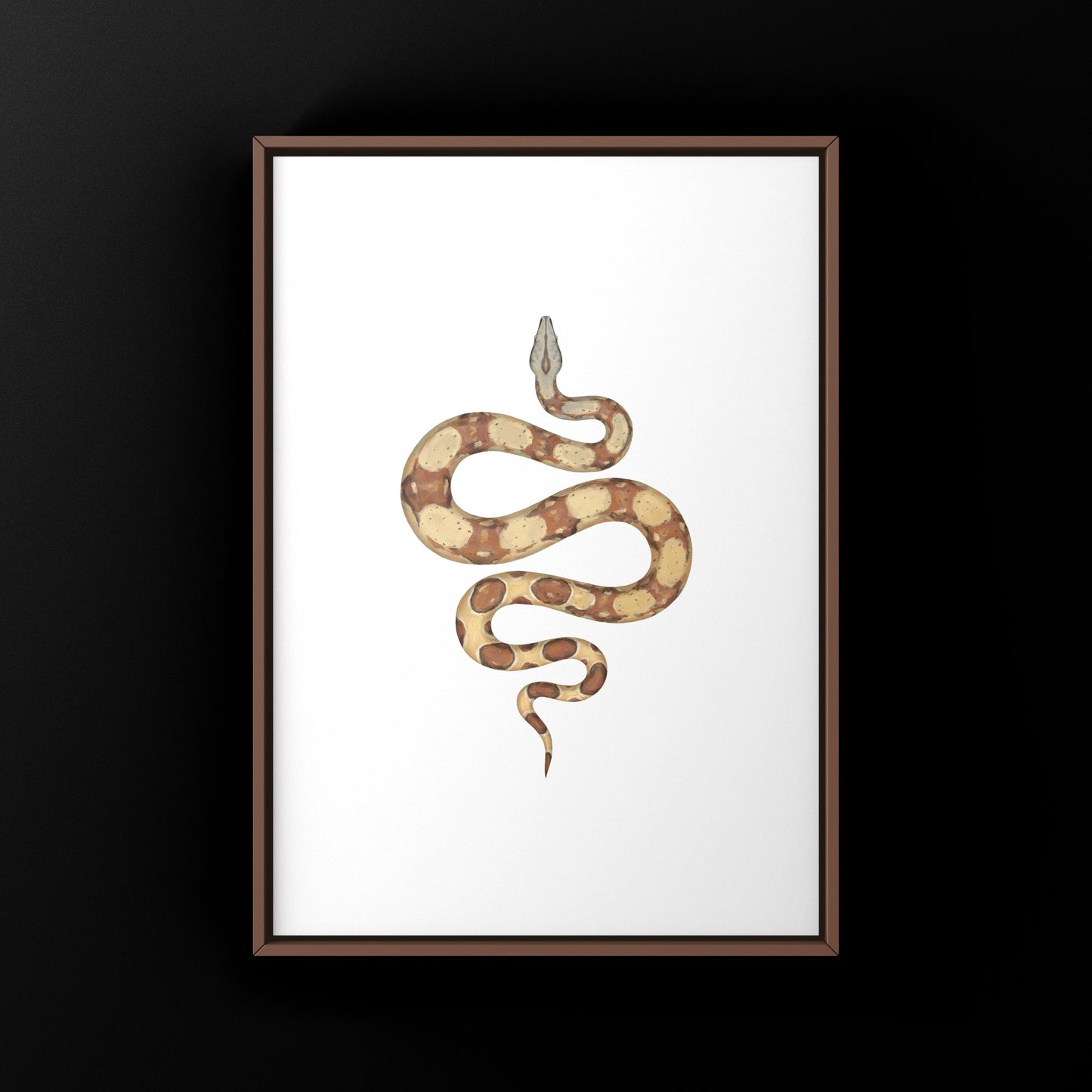 Hypo Colombian Red Tail Boa (Boa imperator) art print showcasing detailed snake illustration by The Silk Ranch.