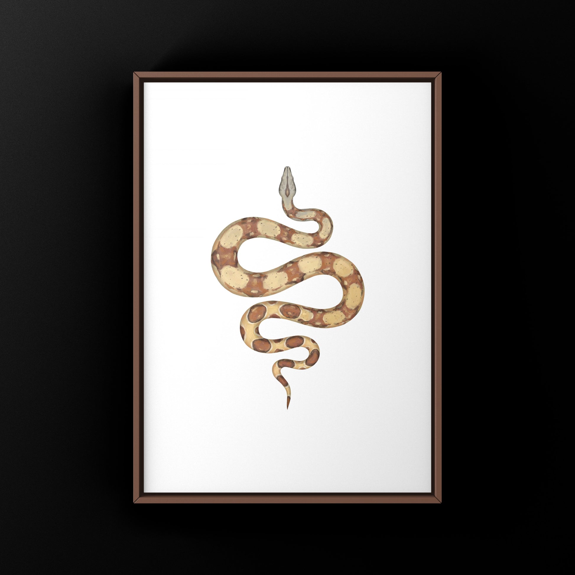 Hypo Colombian Red Tail Boa (Boa imperator) art print showcasing detailed snake illustration by The Silk Ranch.