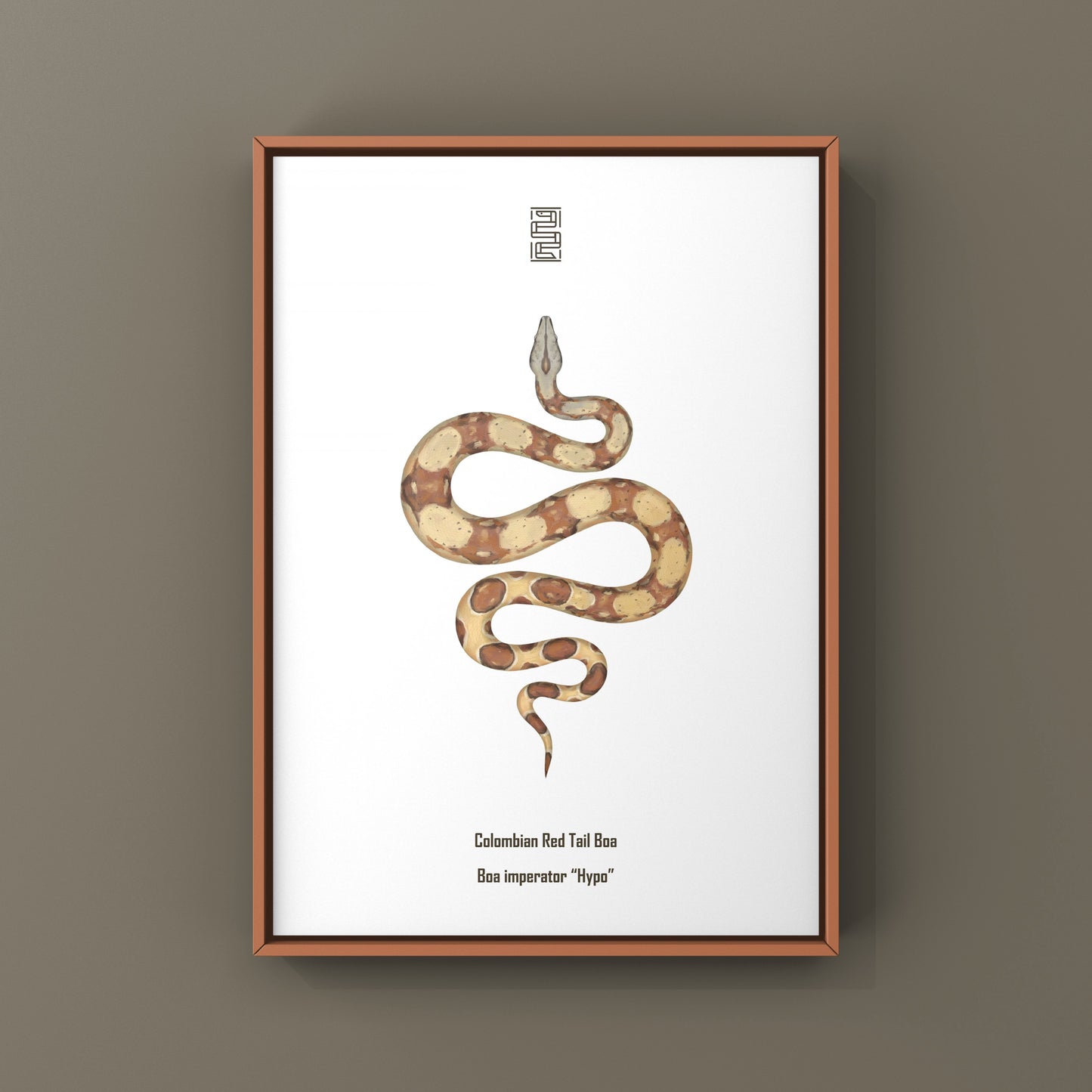 Colorful art print of a Hypo Colombian Red Tail Boa (Boa imperator) showcasing vibrant scales and natural patterns.