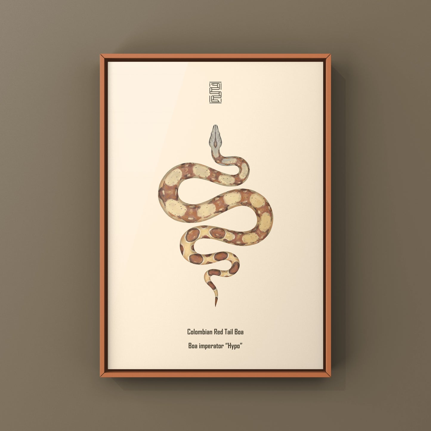 Colorful art print of a Hypo Colombian Red Tail Boa (Boa imperator) by The Silk Ranch, showcasing vibrant snake details.