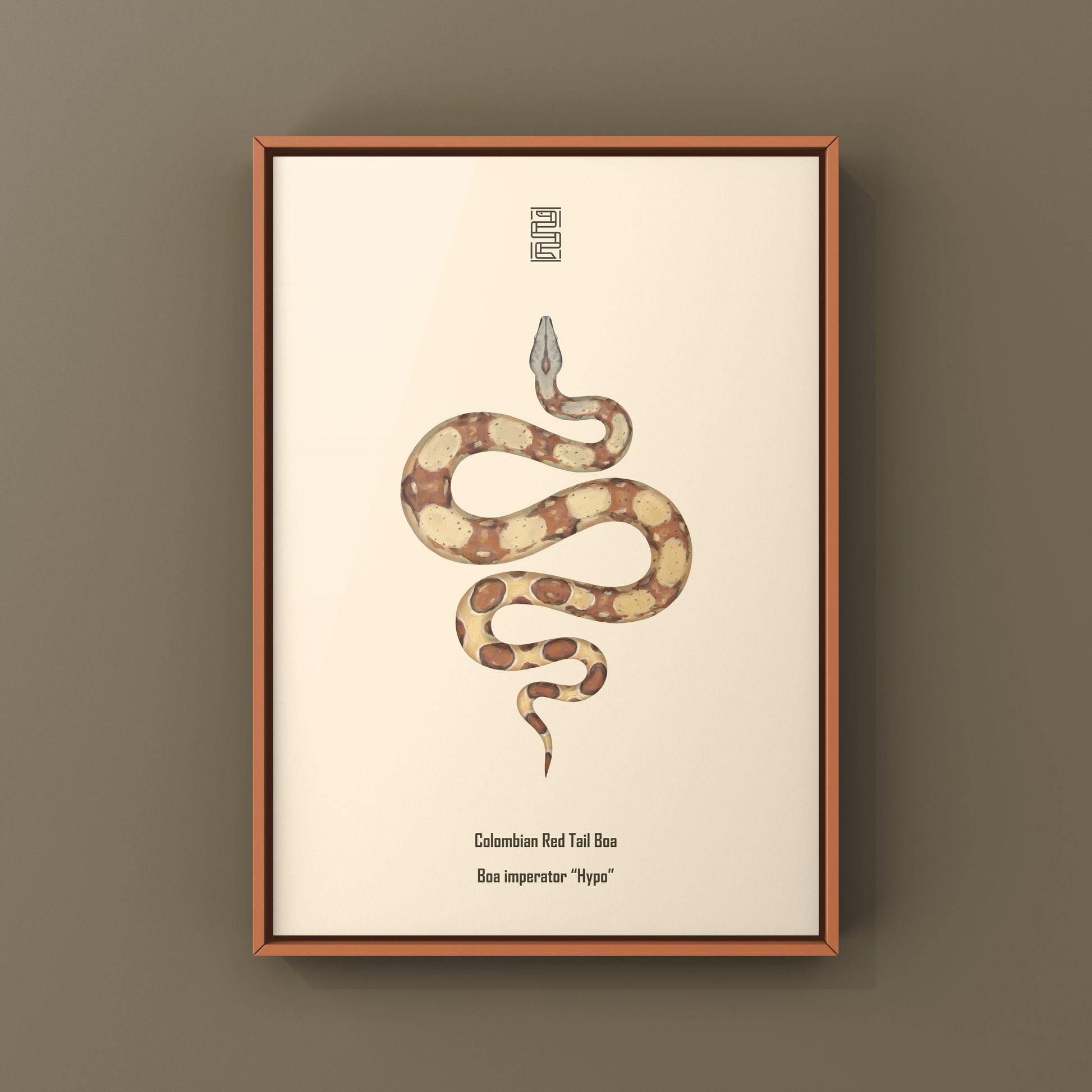 Colorful art print of a Hypo Colombian Red Tail Boa (Boa imperator) by The Silk Ranch, showcasing vibrant snake details.