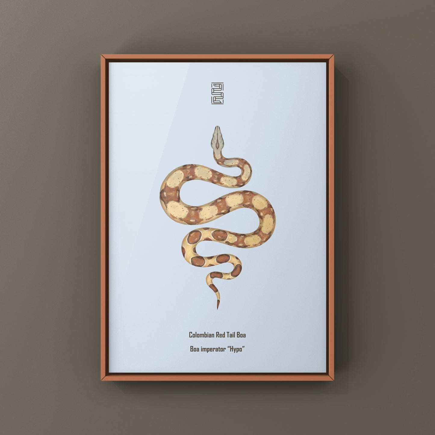 Hypo Colombian Red Tail Boa imperator art print featuring detailed illustration of the snake's vibrant red tail and realistic scales.