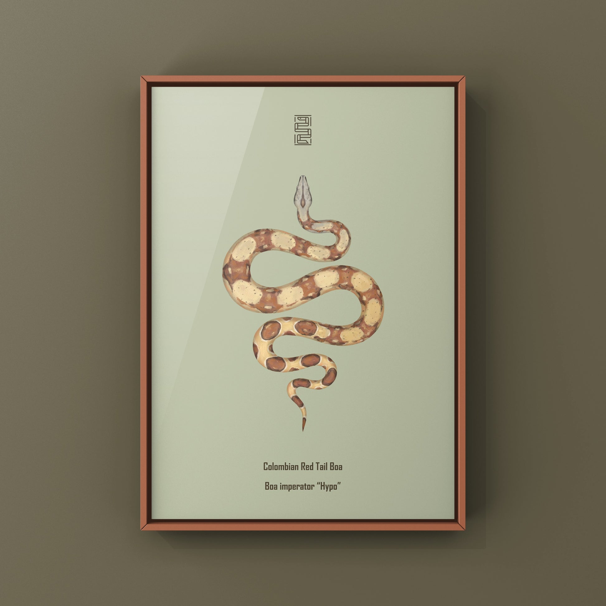 Hypo Colombian Red Tail Boa (Boa imperator) art print featuring detailed snake illustration by The Silk Ranch.