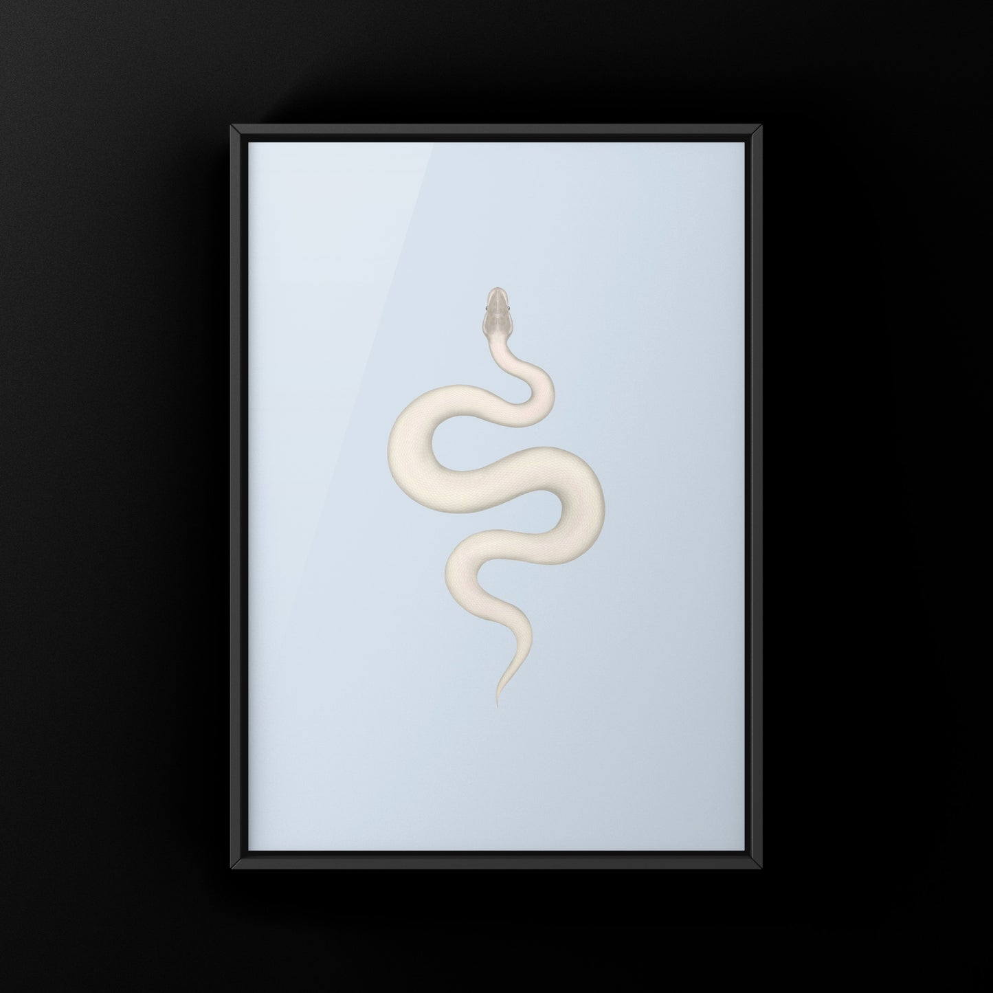 Super Mojave Ball Python (Python regius) Art Print from The Silk Ranch