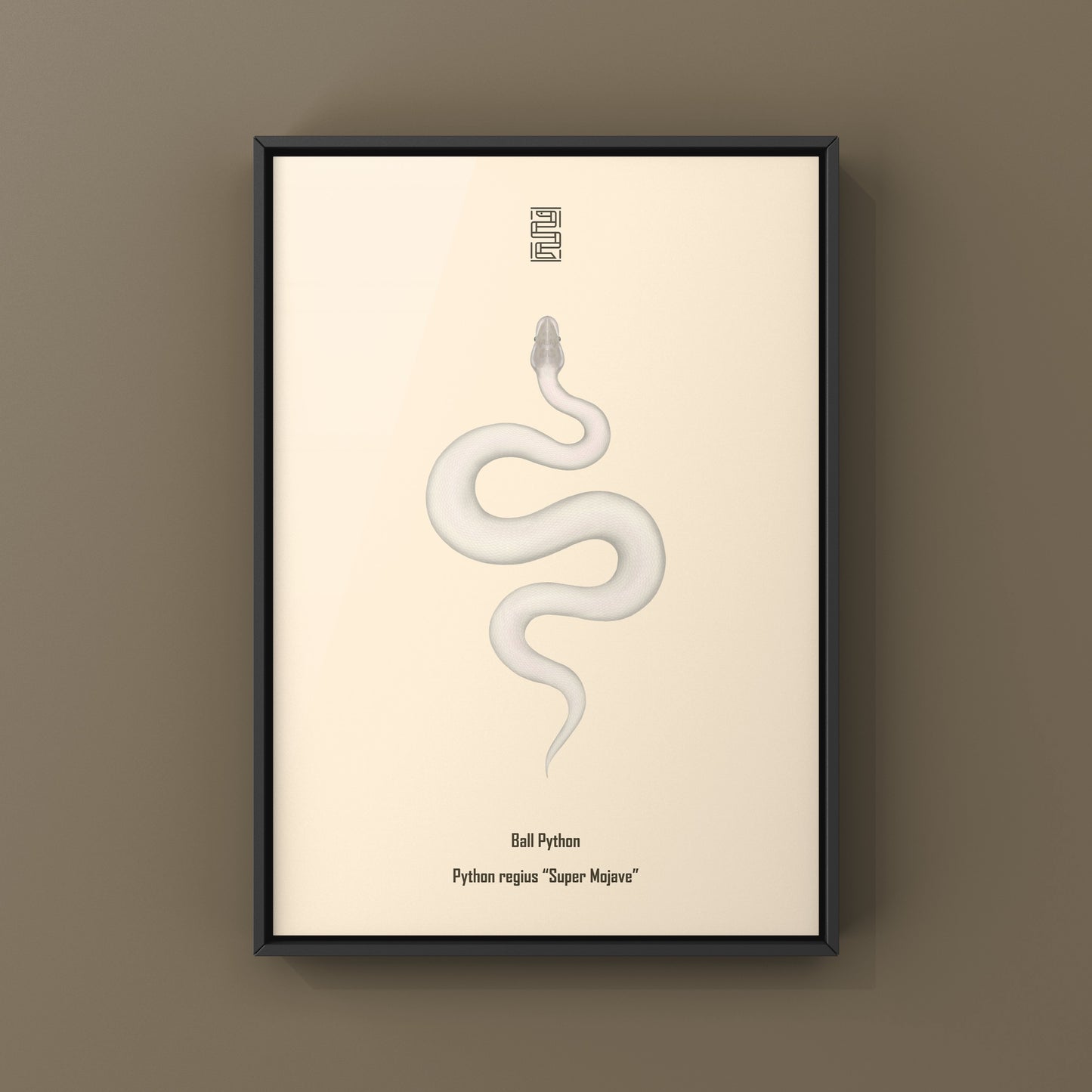 Super Mojave Ball Python (Python regius) Art Print from The Silk Ranch