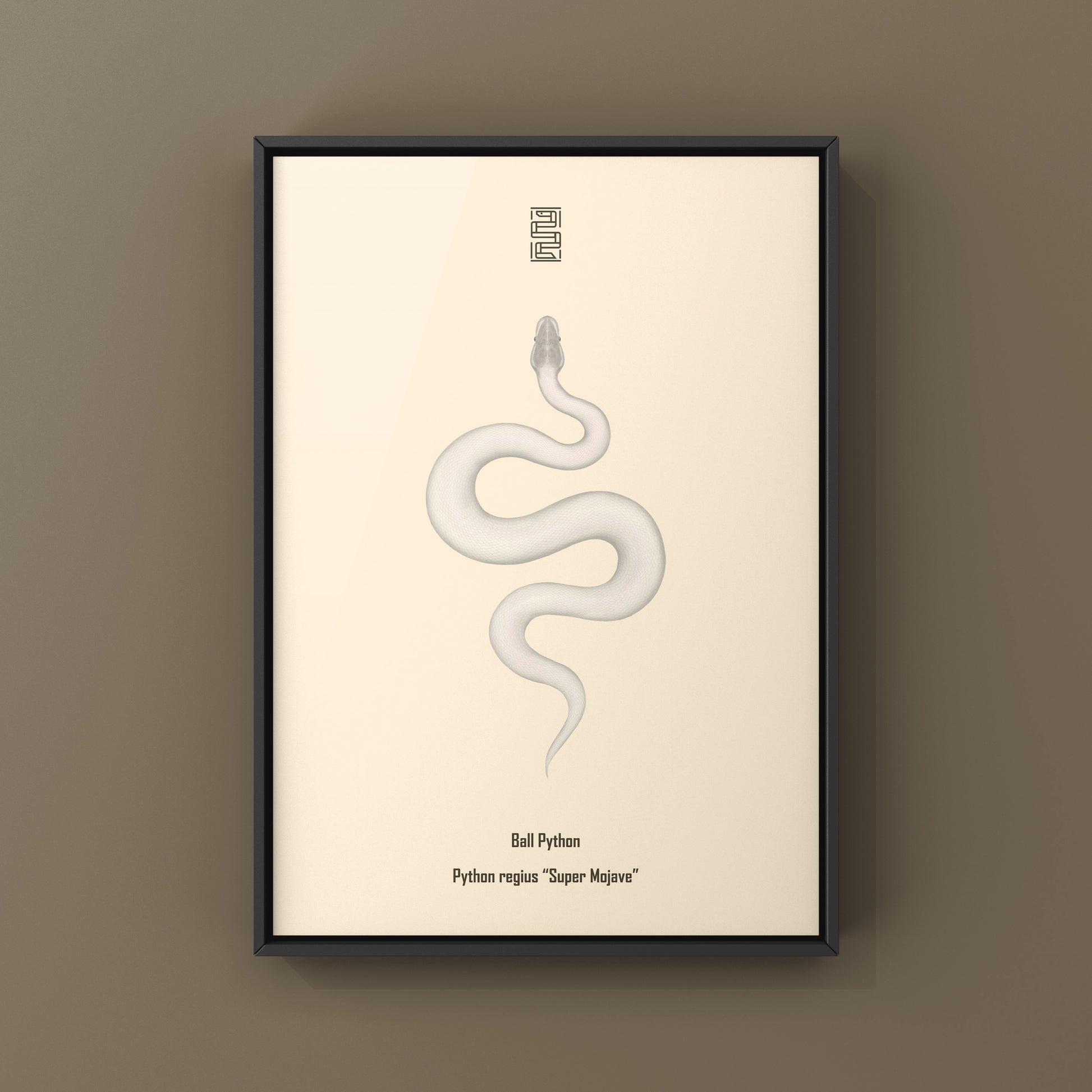 Super Mojave Ball Python (Python regius) Art Print from The Silk Ranch