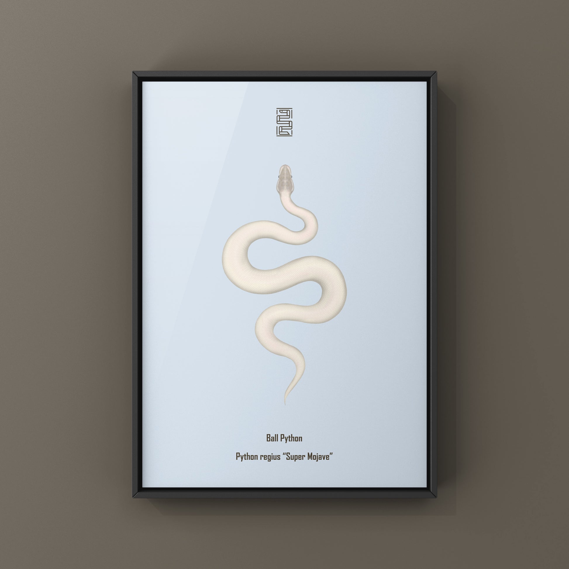 Super Mojave Ball Python (Python regius) Art Print from The Silk Ranch