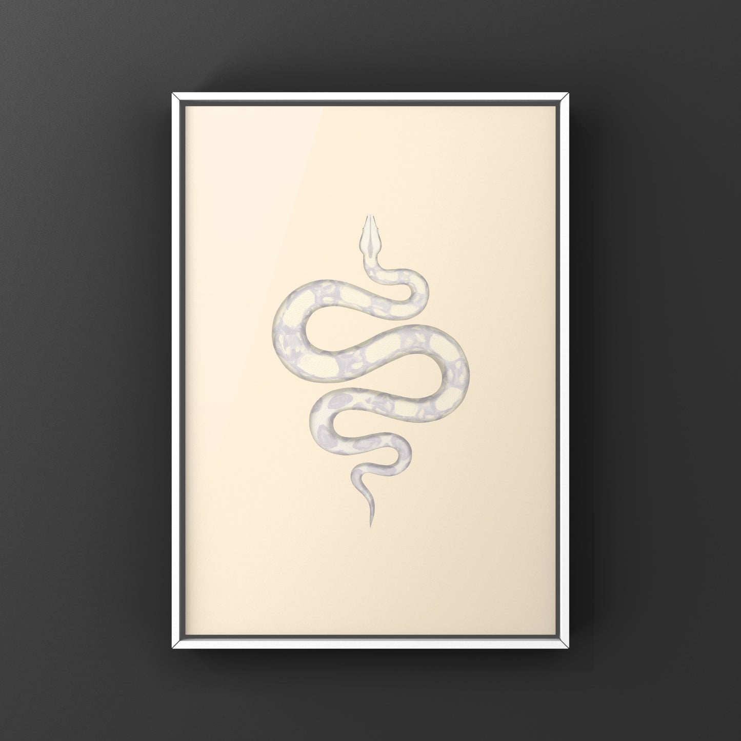 Colombian Red Tail Boa art print by The Silk Ranch featuring detailed illustration of a Moonglow Boa imperator.